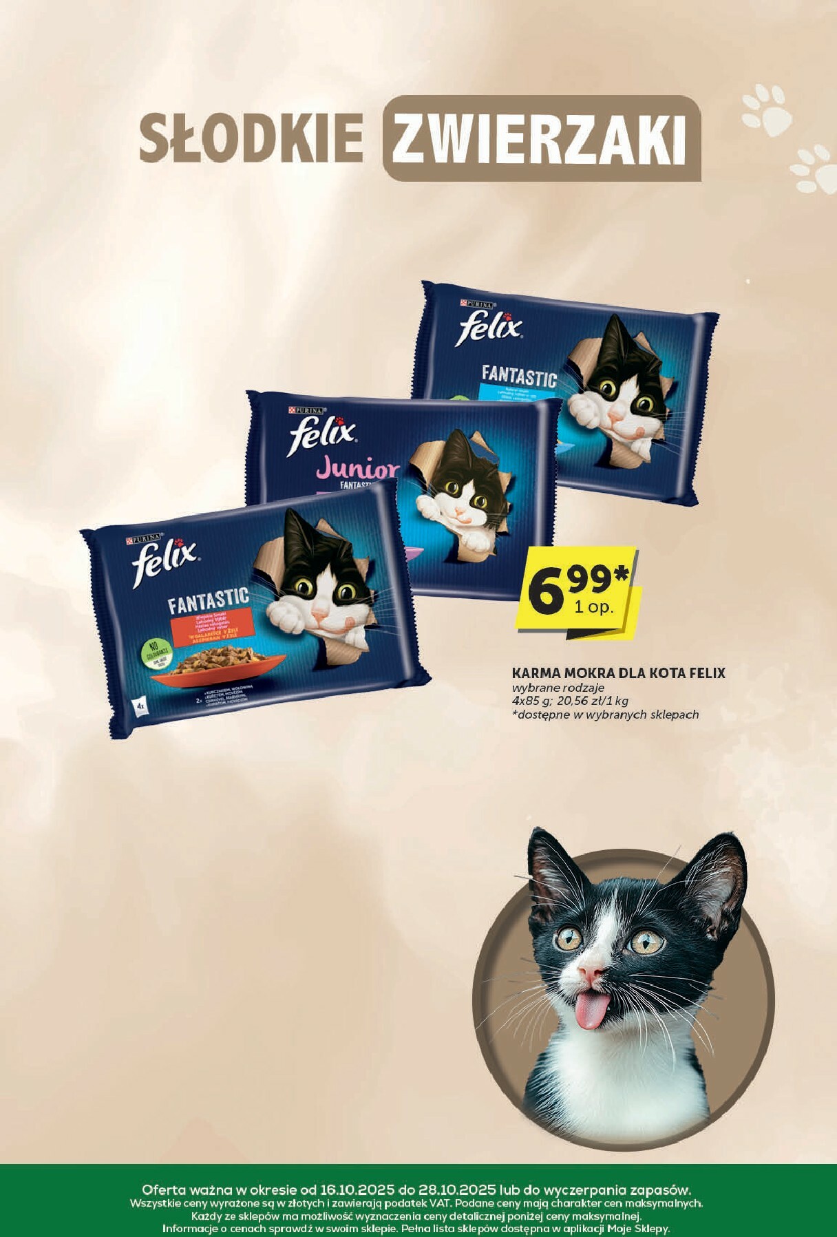 euro-sklep - Gazetka Euro Sklep - Katalog - ważna od 16.10. do 28.10. - page: 31