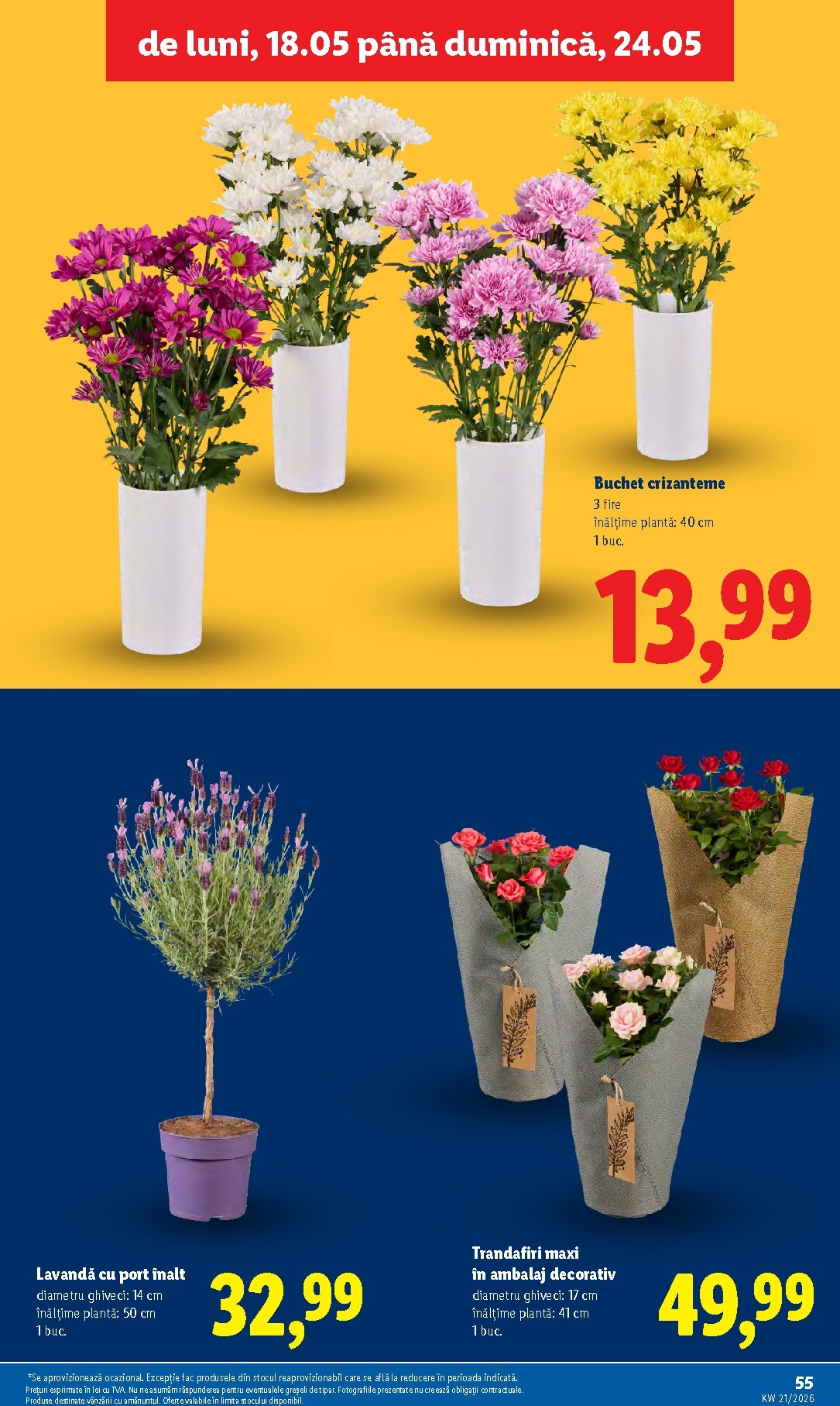 lidl - Brosura Lidl valabilă de la luni 18.05.2026 până la duminică 24.05.2026 - page: 55