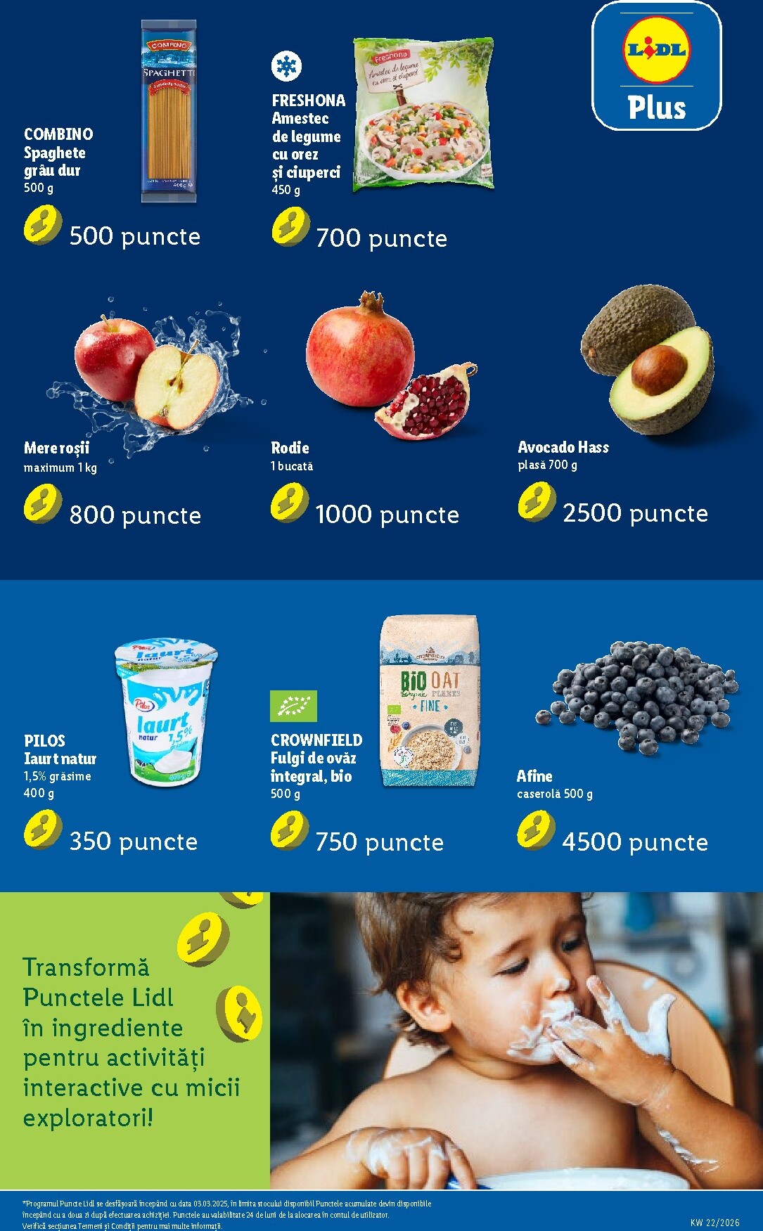 lidl - Brosura Lidl - Catalogul săptămânal valabilă de la luni 25.05.2026 până la duminică 31.05.2026 - page: 89