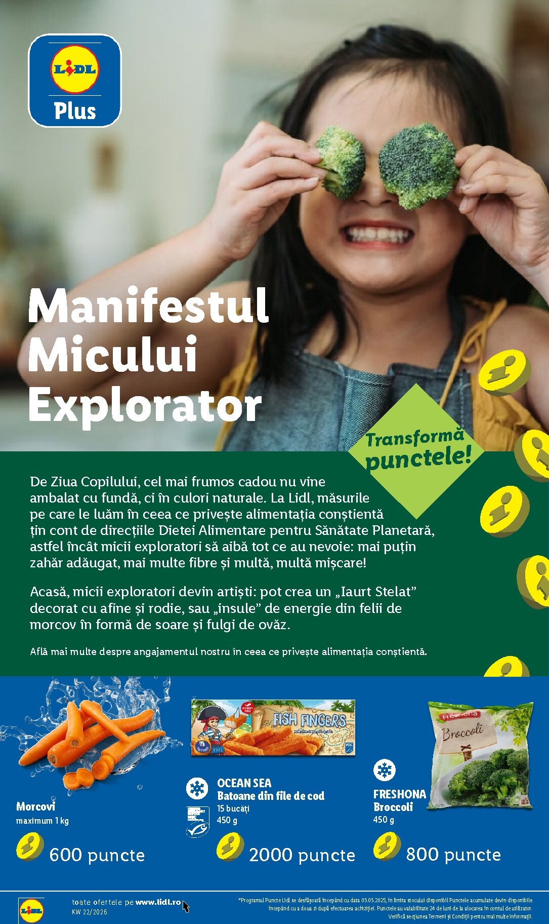 lidl - Brosura Lidl - Catalogul săptămânal valabilă de la luni 25.05.2026 până la duminică 31.05.2026 - page: 88