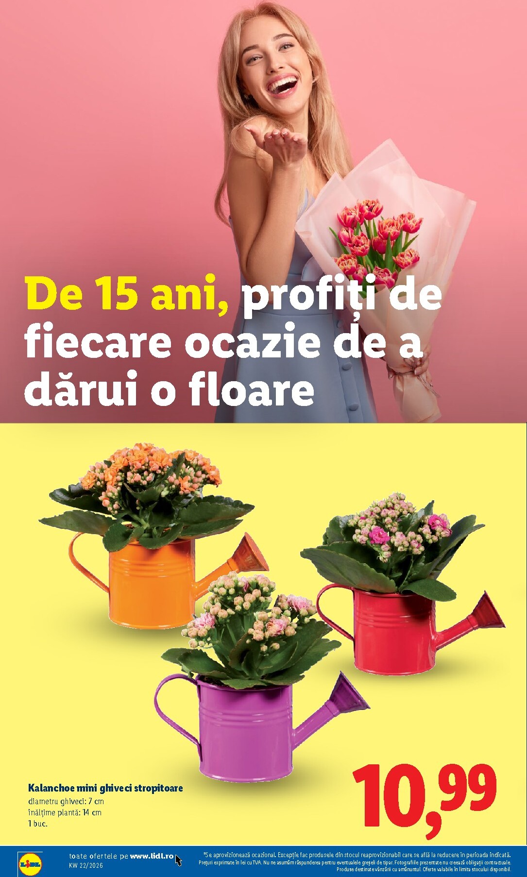 lidl - Brosura Lidl - Catalogul săptămânal valabilă de la luni 25.05.2026 până la duminică 31.05.2026 - page: 48