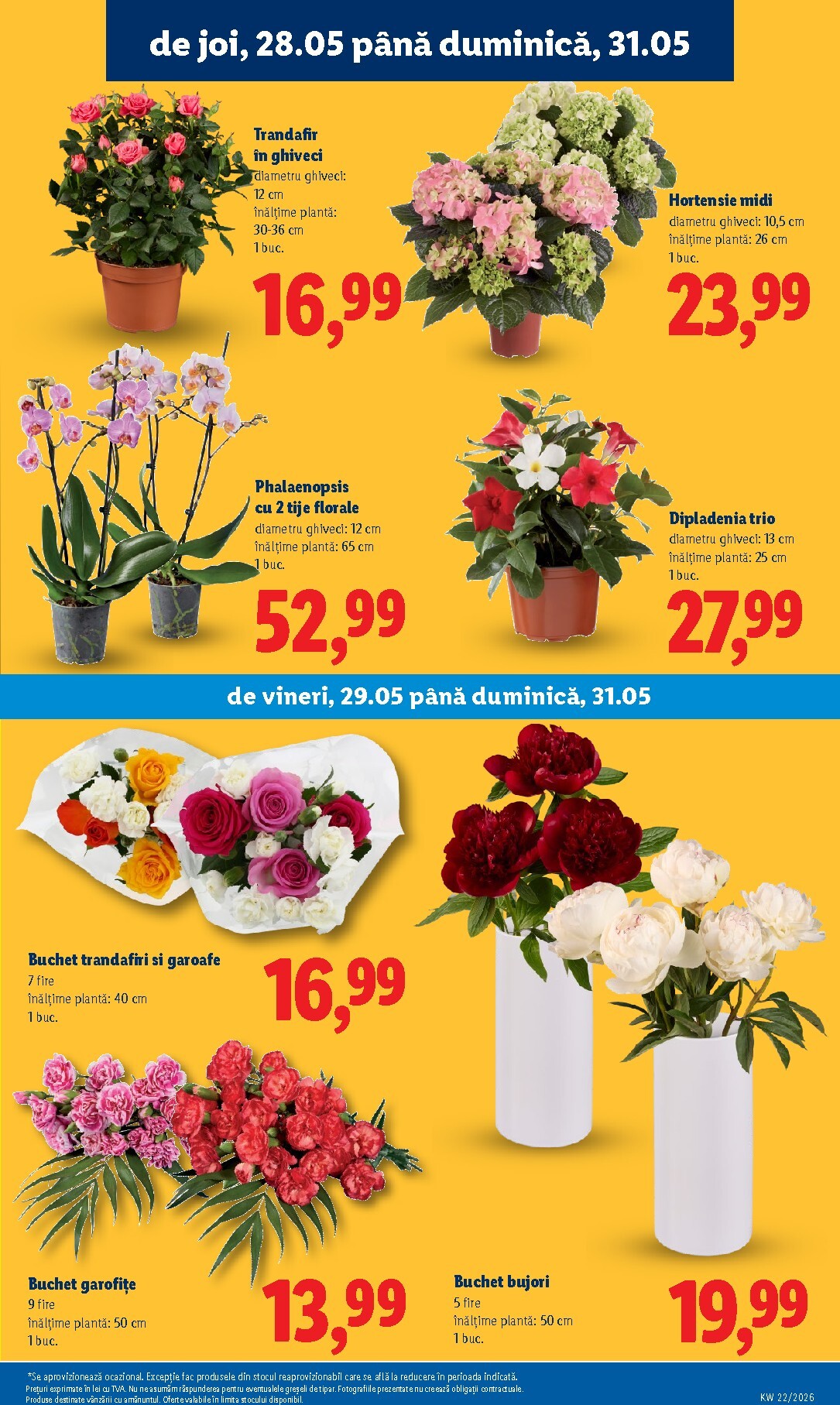 lidl - Brosura Lidl - Catalogul săptămânal valabilă de la luni 25.05.2026 până la duminică 31.05.2026 - page: 51