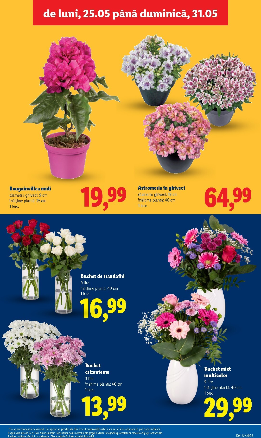 lidl - Brosura Lidl - Catalogul săptămânal valabilă de la luni 25.05.2026 până la duminică 31.05.2026 - page: 49