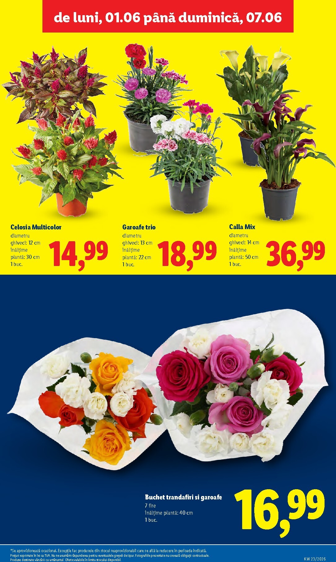 lidl - Lidl pliante pentru săptămâna viitoare de la luni 01.06.2026 până la duminică 07.06.2026 - page: 47