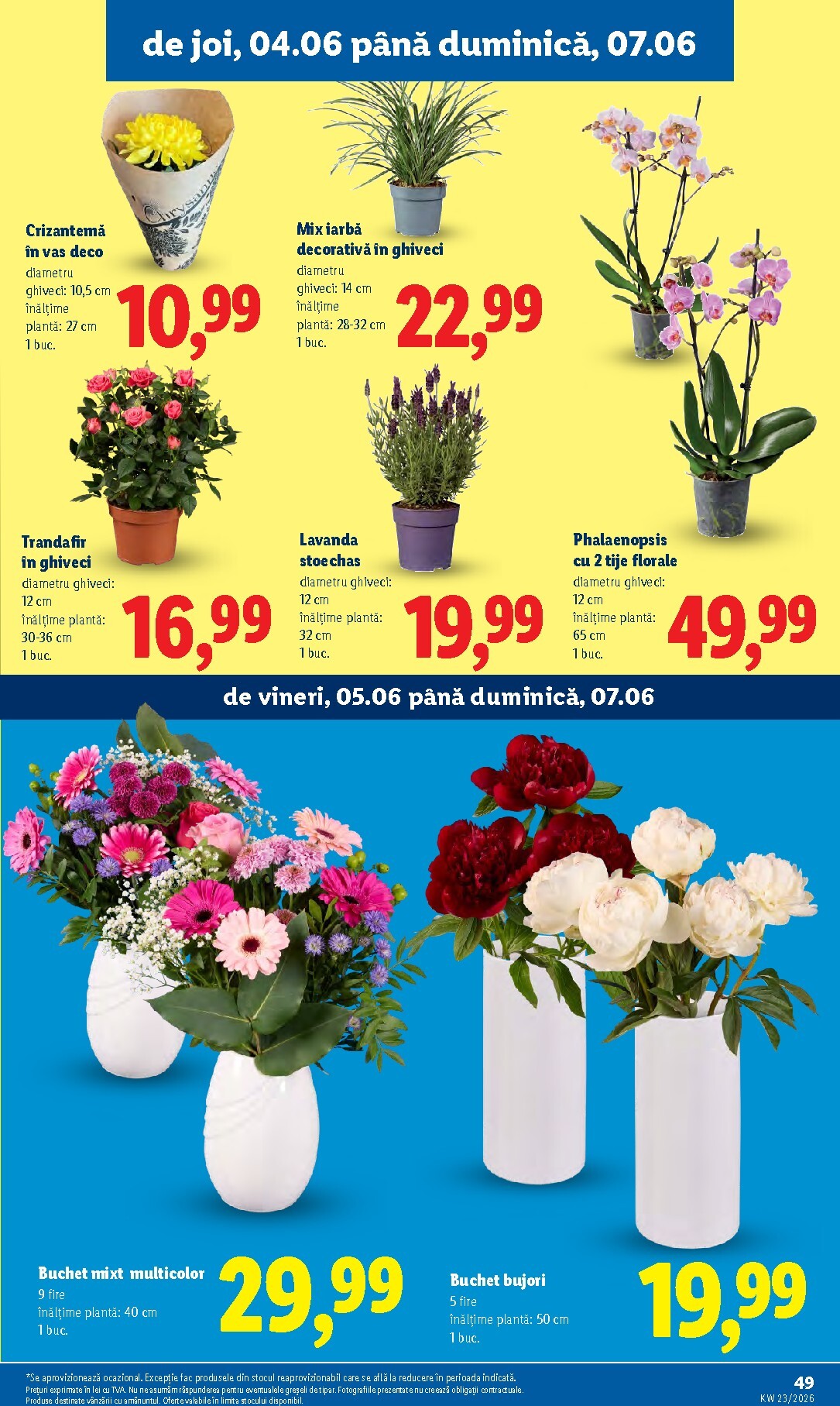 lidl - Lidl pliante pentru săptămâna viitoare de la luni 01.06.2026 până la duminică 07.06.2026 - page: 49