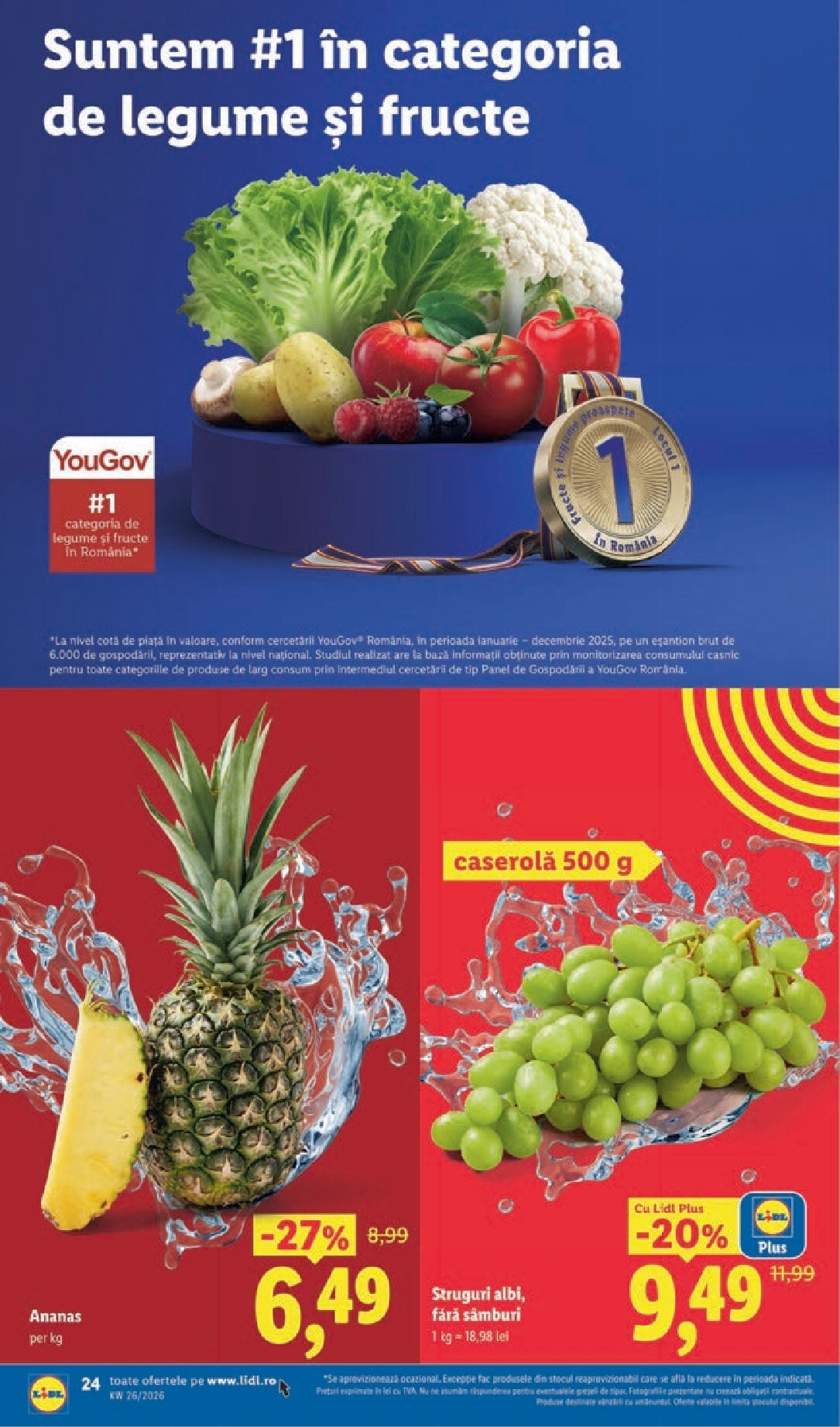 lidl - Lidl pliante pentru săptămâna viitoare de la luni 22.06.2026 până la duminică 28.06.2026 - page: 24