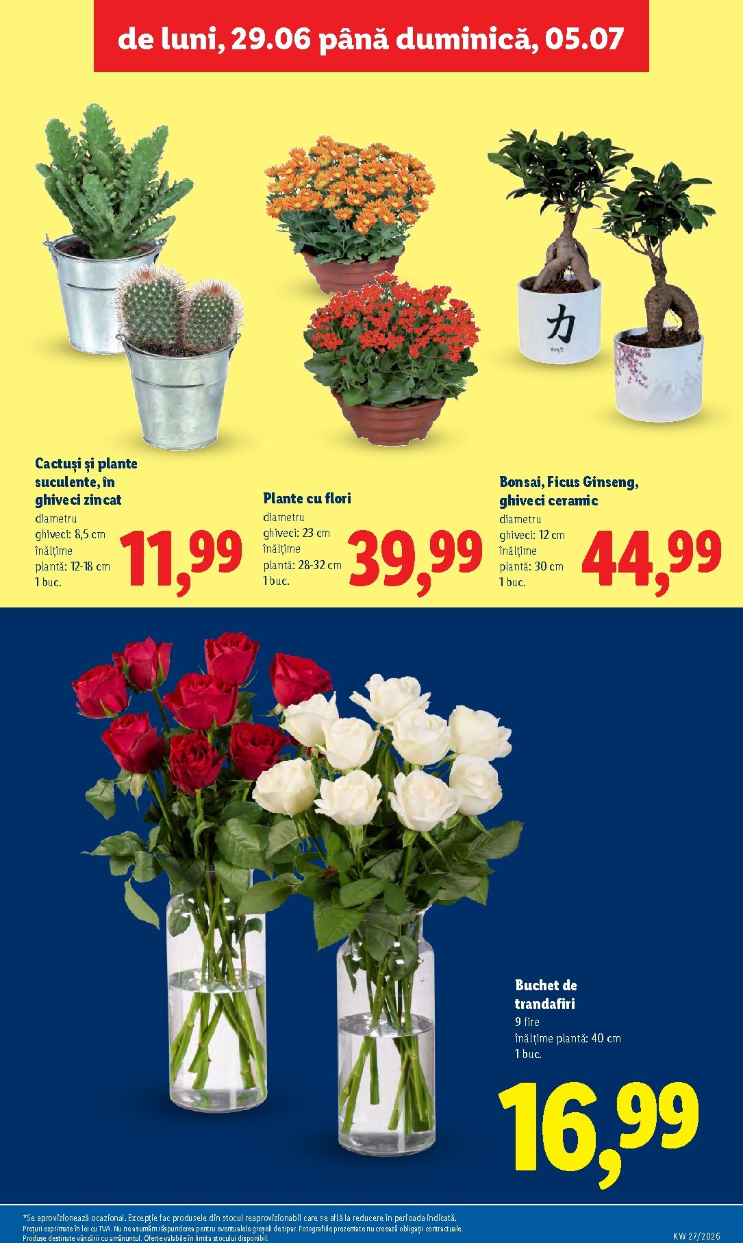 lidl - Lidl - Catalogul săptămânal pliante pentru săptămâna viitoare de la luni 29.06.2026 până la duminică 05.07.2026 - page: 55