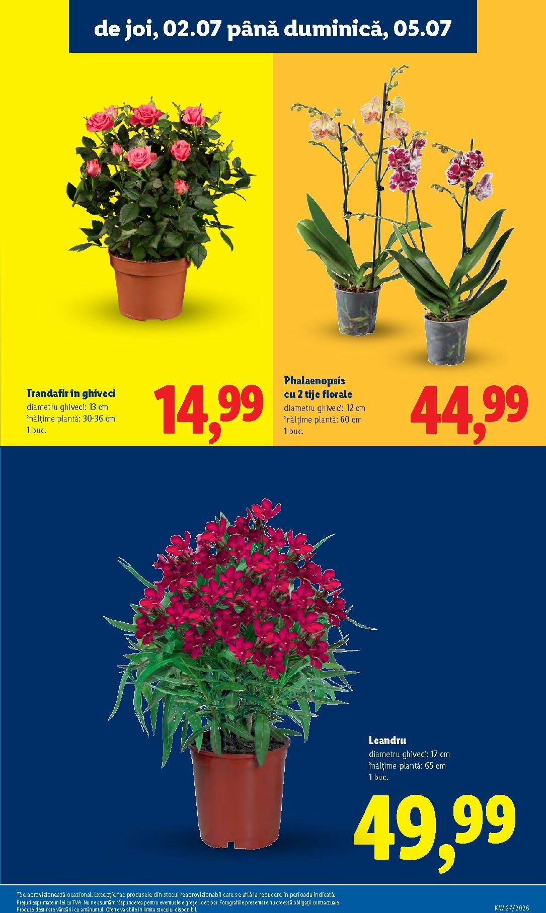 lidl - Lidl - Catalogul săptămânal pliante pentru săptămâna viitoare de la luni 29.06.2026 până la duminică 05.07.2026 - page: 57