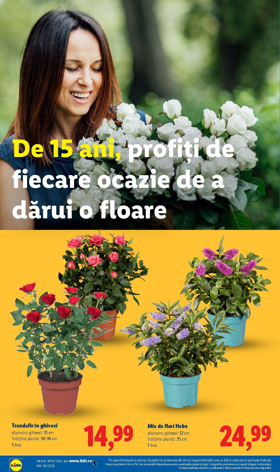 lidl - Lidl pliante pentru săptămâna viitoare de la luni 06.07.2026 până la duminică 12.07.2026 - page: 54
