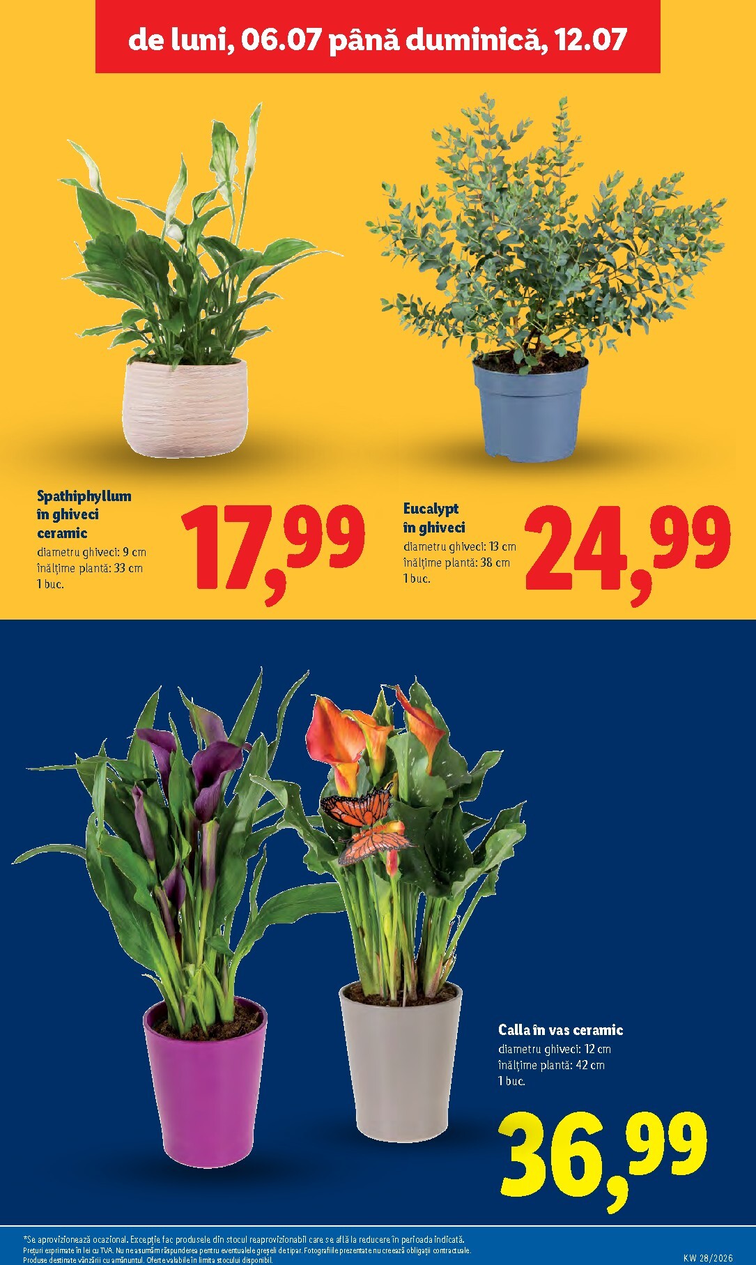 lidl - Lidl pliante pentru săptămâna viitoare de la luni 06.07.2026 până la duminică 12.07.2026 - page: 53