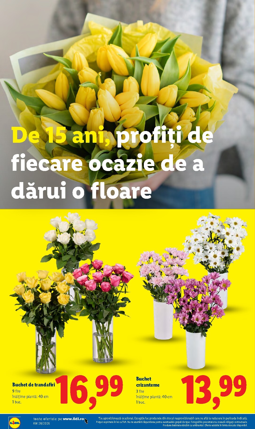 lidl - Lidl pliante pentru săptămâna viitoare de la luni 06.07.2026 până la duminică 12.07.2026 - page: 52