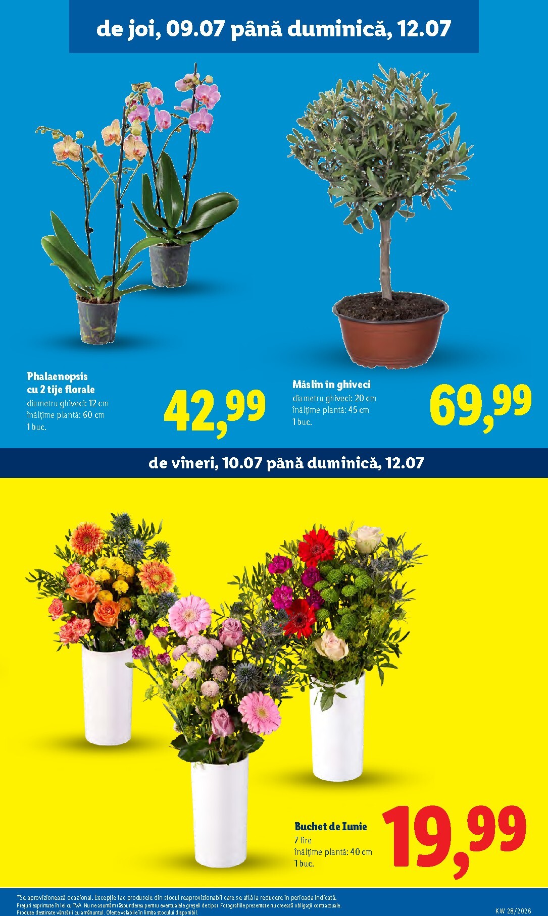 lidl - Brosura Lidl valabilă de la luni 06.07.2026 până la duminică 12.07.2026 - page: 55