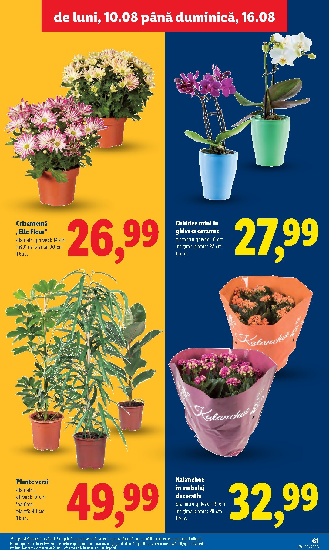 lidl - Lidl pliante pentru săptămâna viitoare de la luni 10.08.2026 până la duminică 16.08.2026 - page: 61