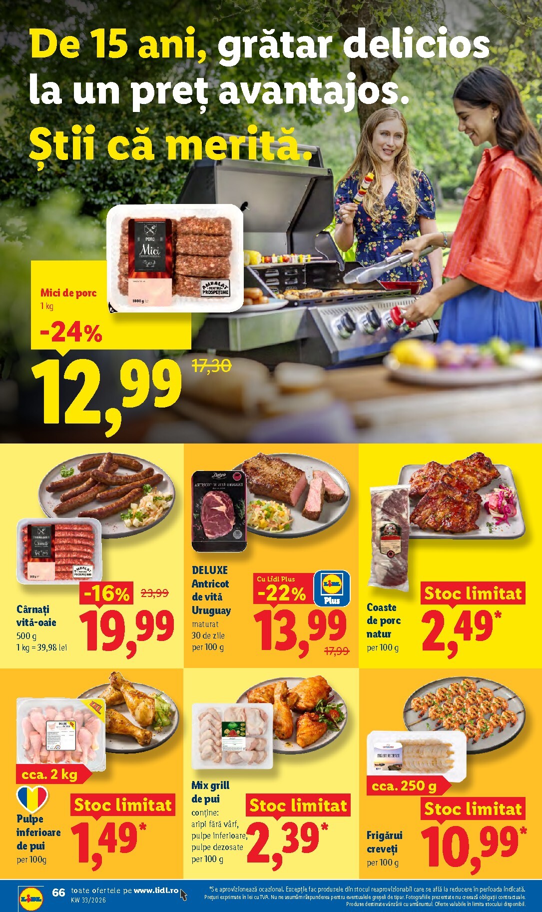 lidl - Lidl pliante pentru săptămâna viitoare de la luni 10.08.2026 până la duminică 16.08.2026 - page: 66