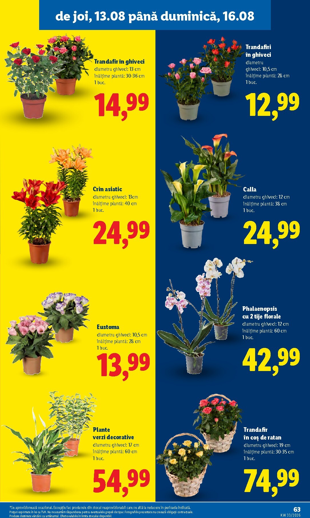lidl - Lidl pliante pentru săptămâna viitoare de la luni 10.08.2026 până la duminică 16.08.2026 - page: 63
