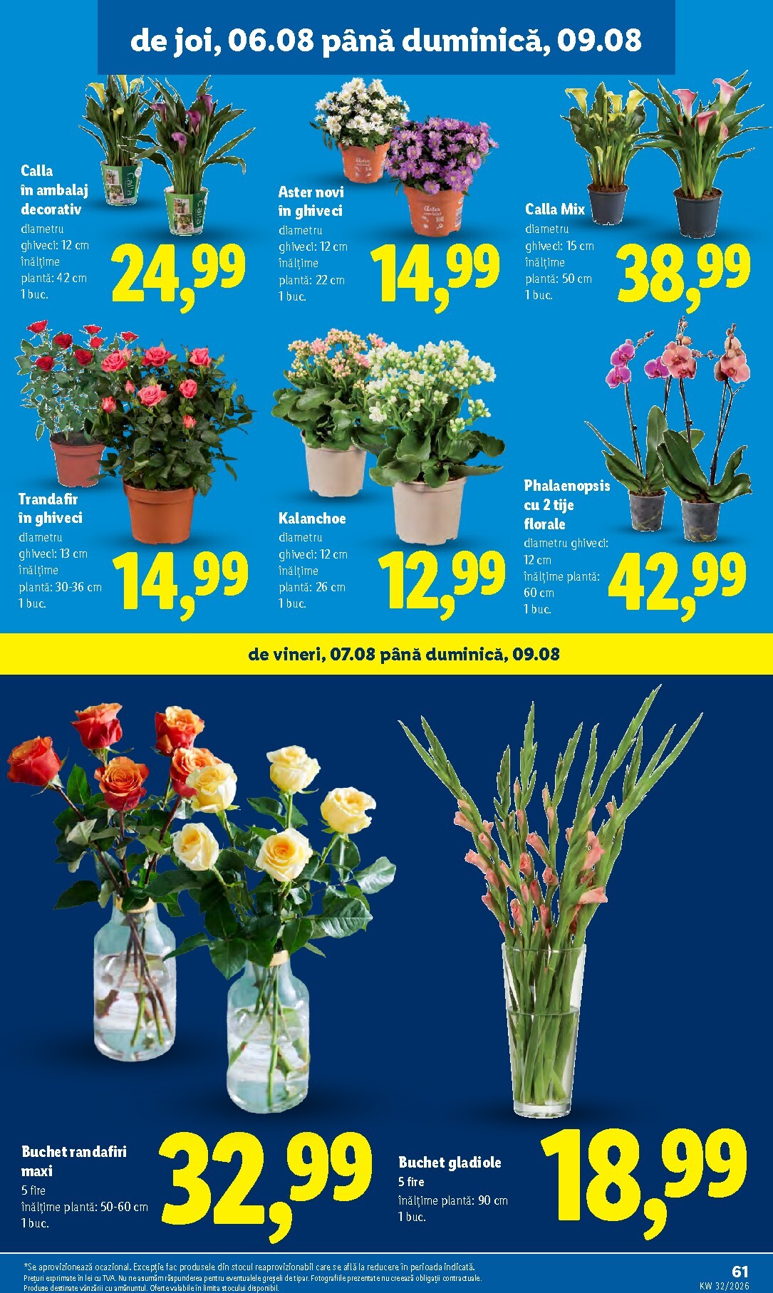 lidl - Brosura Lidl valabilă de la luni 03.08.2026 până la duminică 09.08.2026 - page: 61