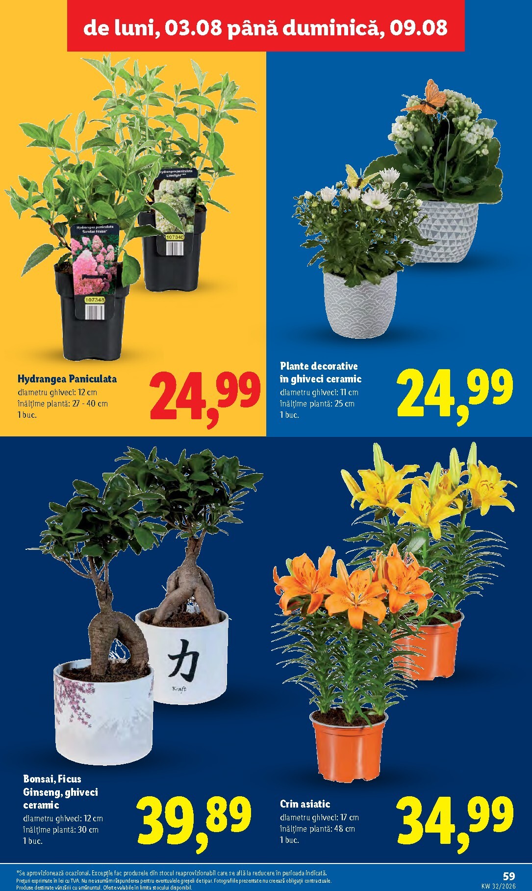 lidl - Brosura Lidl valabilă de la luni 03.08.2026 până la duminică 09.08.2026 - page: 59