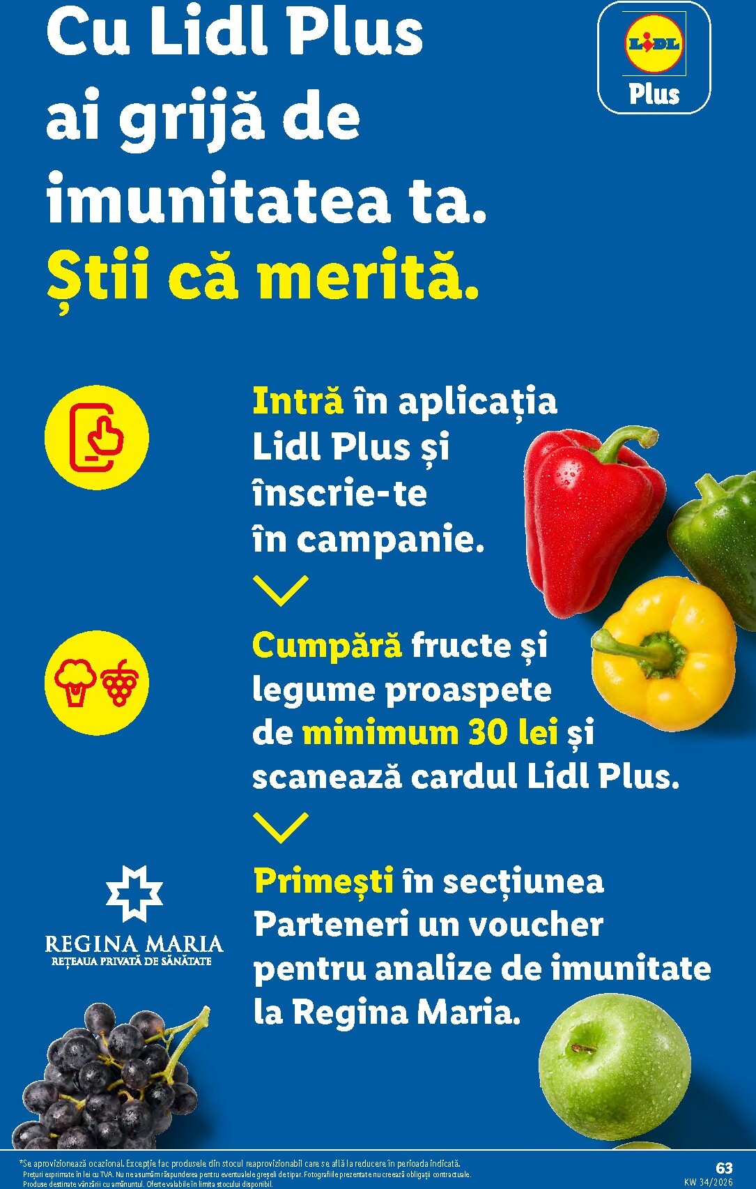 lidl - Lidl pliante pentru săptămâna viitoare de la luni 17.08.2026 până la duminică 23.08.2026 - page: 63