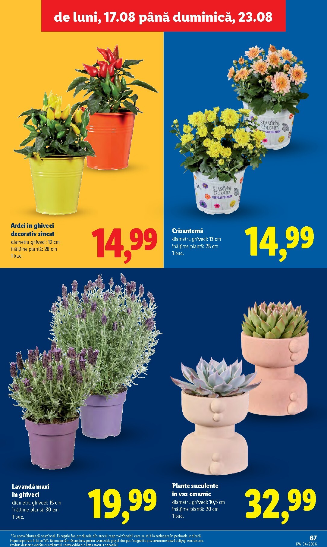 lidl - Lidl pliante pentru săptămâna viitoare de la luni 17.08.2026 până la duminică 23.08.2026 - page: 67