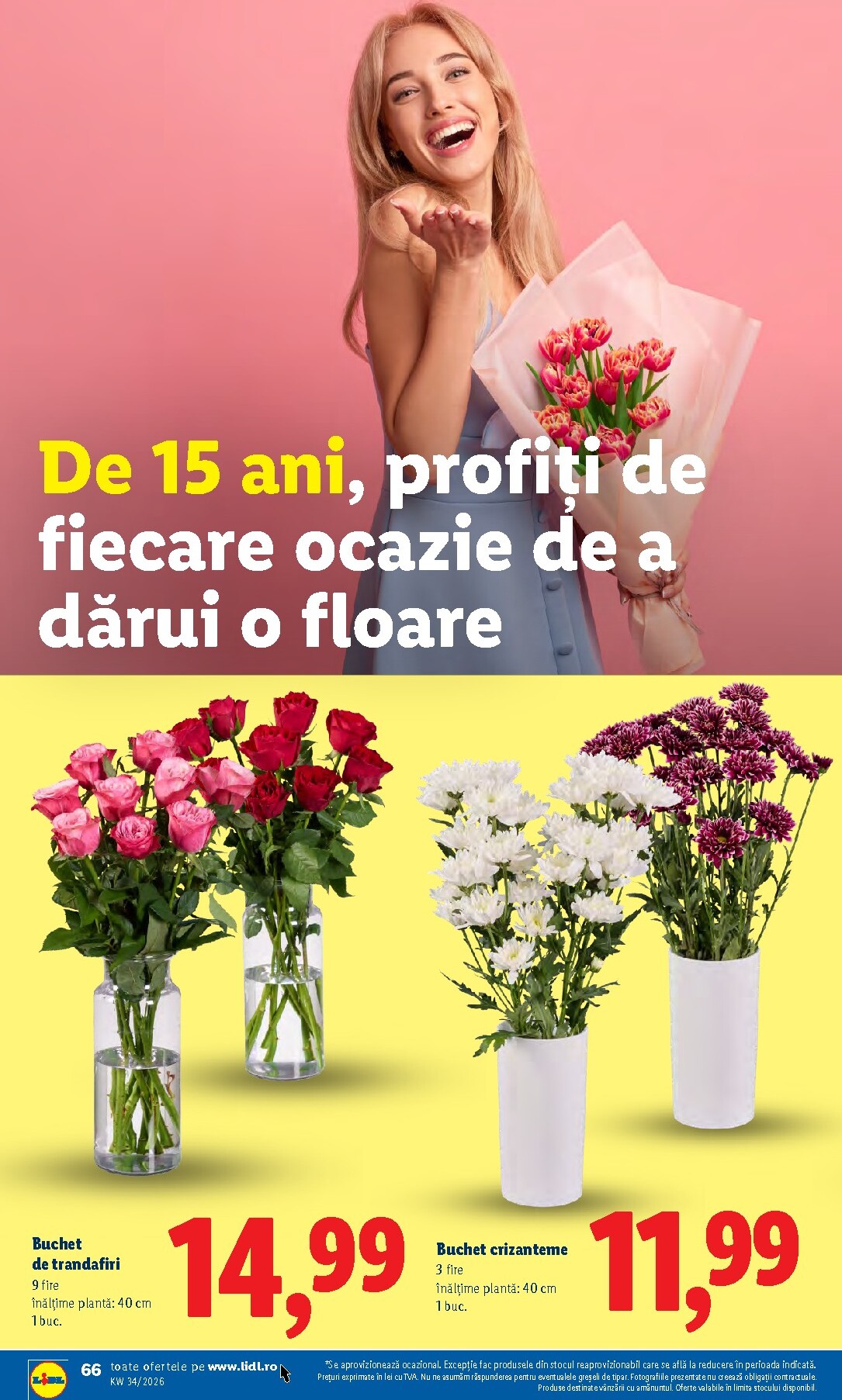 lidl - Lidl pliante pentru săptămâna viitoare de la luni 17.08.2026 până la duminică 23.08.2026 - page: 66