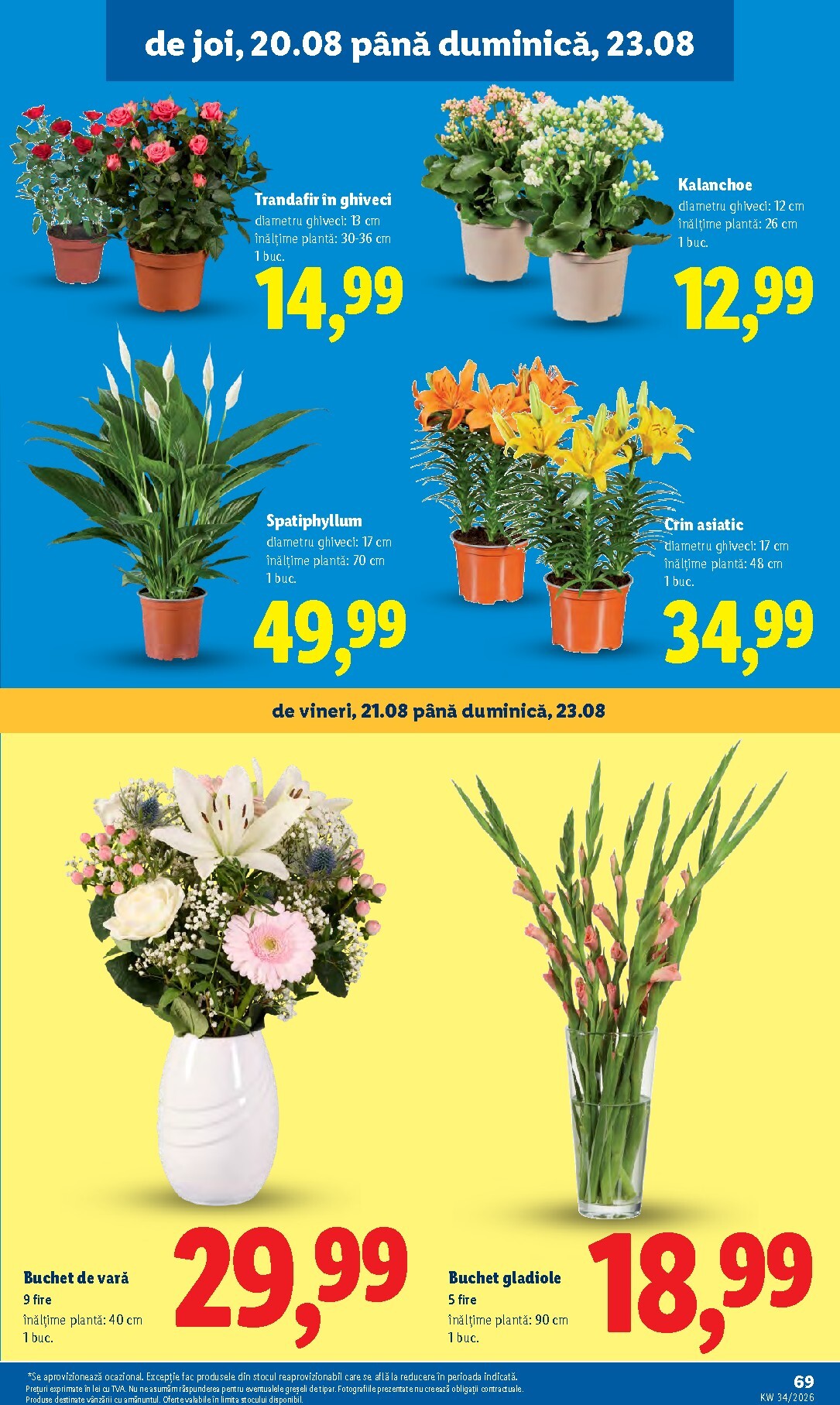 lidl - Lidl pliante pentru săptămâna viitoare de la luni 17.08.2026 până la duminică 23.08.2026 - page: 69