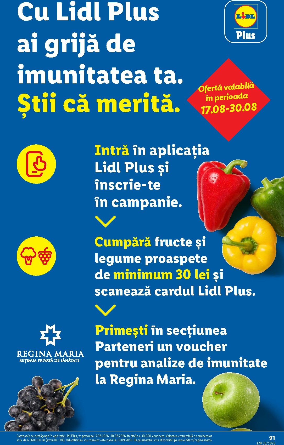 lidl - Lidl pliante pentru săptămâna viitoare de la luni 24.08.2026 până la duminică 30.08.2026 - page: 91