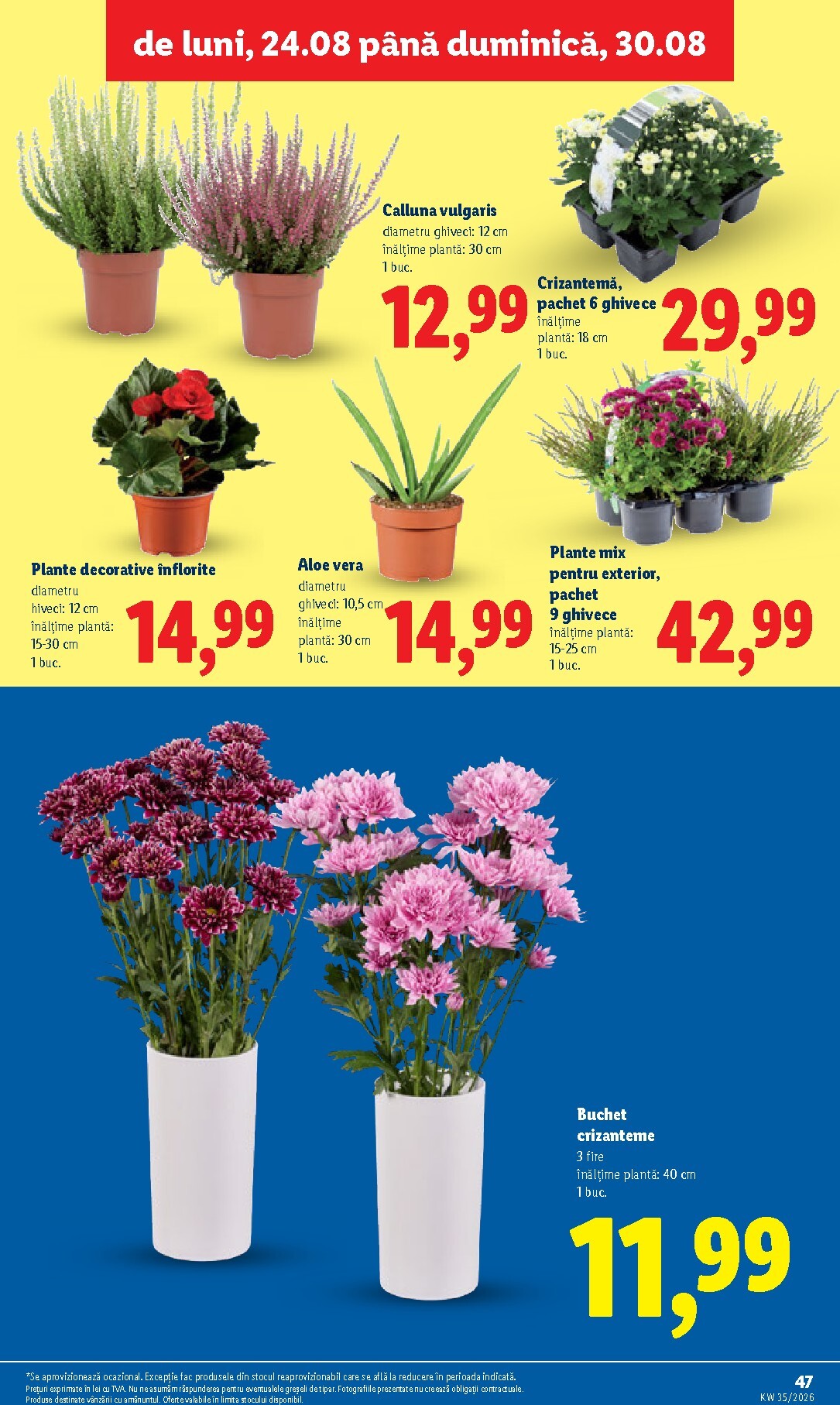 lidl - Lidl pliante pentru săptămâna viitoare de la luni 24.08.2026 până la duminică 30.08.2026 - page: 47