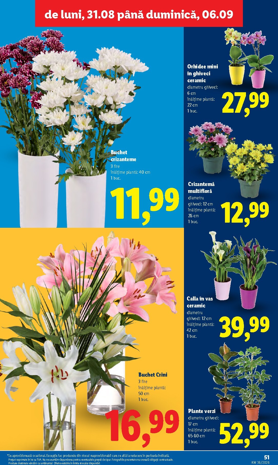 lidl - Lidl pliante pentru săptămâna viitoare de la luni 31.08.2026 până la duminică 06.09.2026 - page: 51