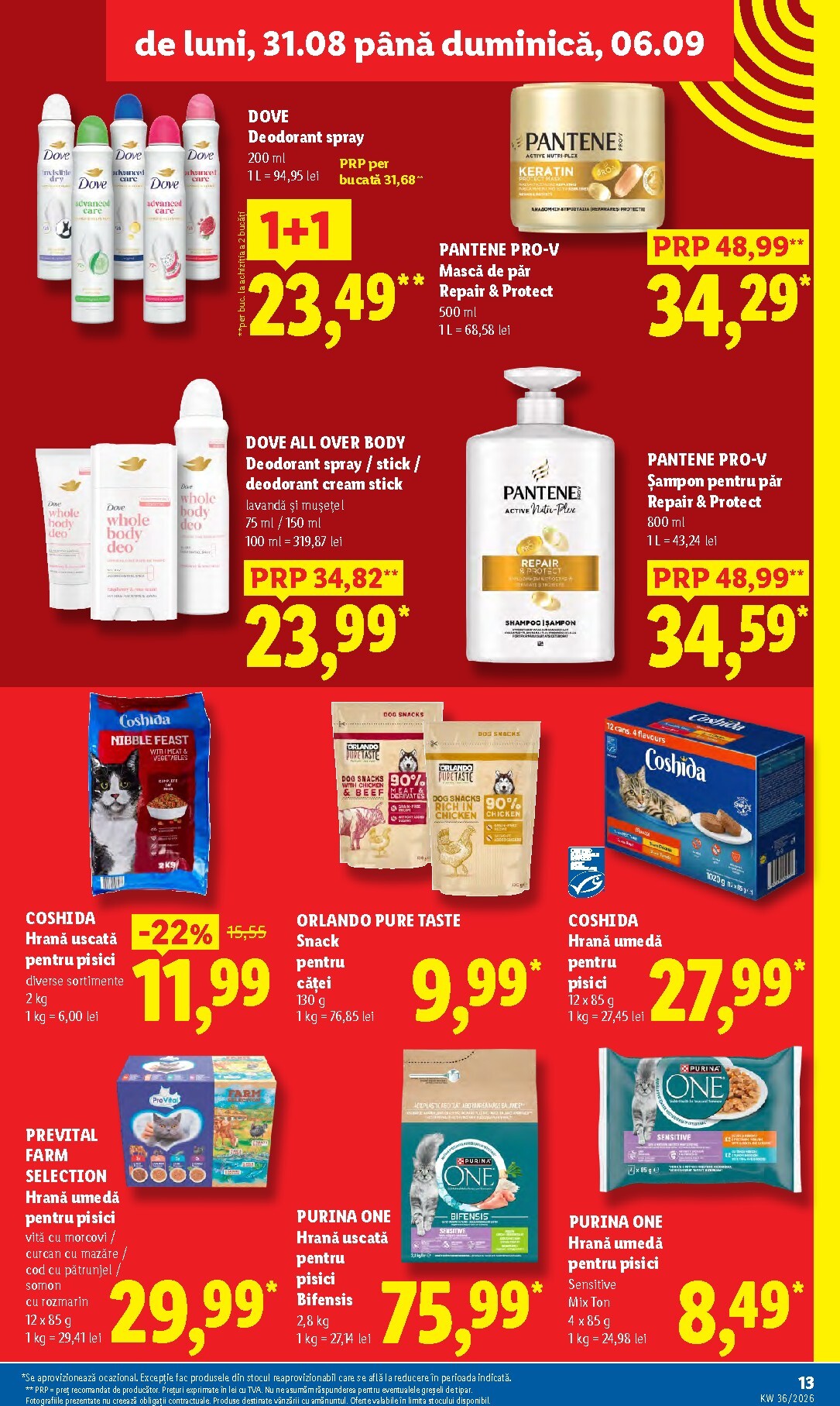 lidl - Lidl pliante pentru săptămâna viitoare de la luni 31.08.2026 până la duminică 06.09.2026 - page: 13