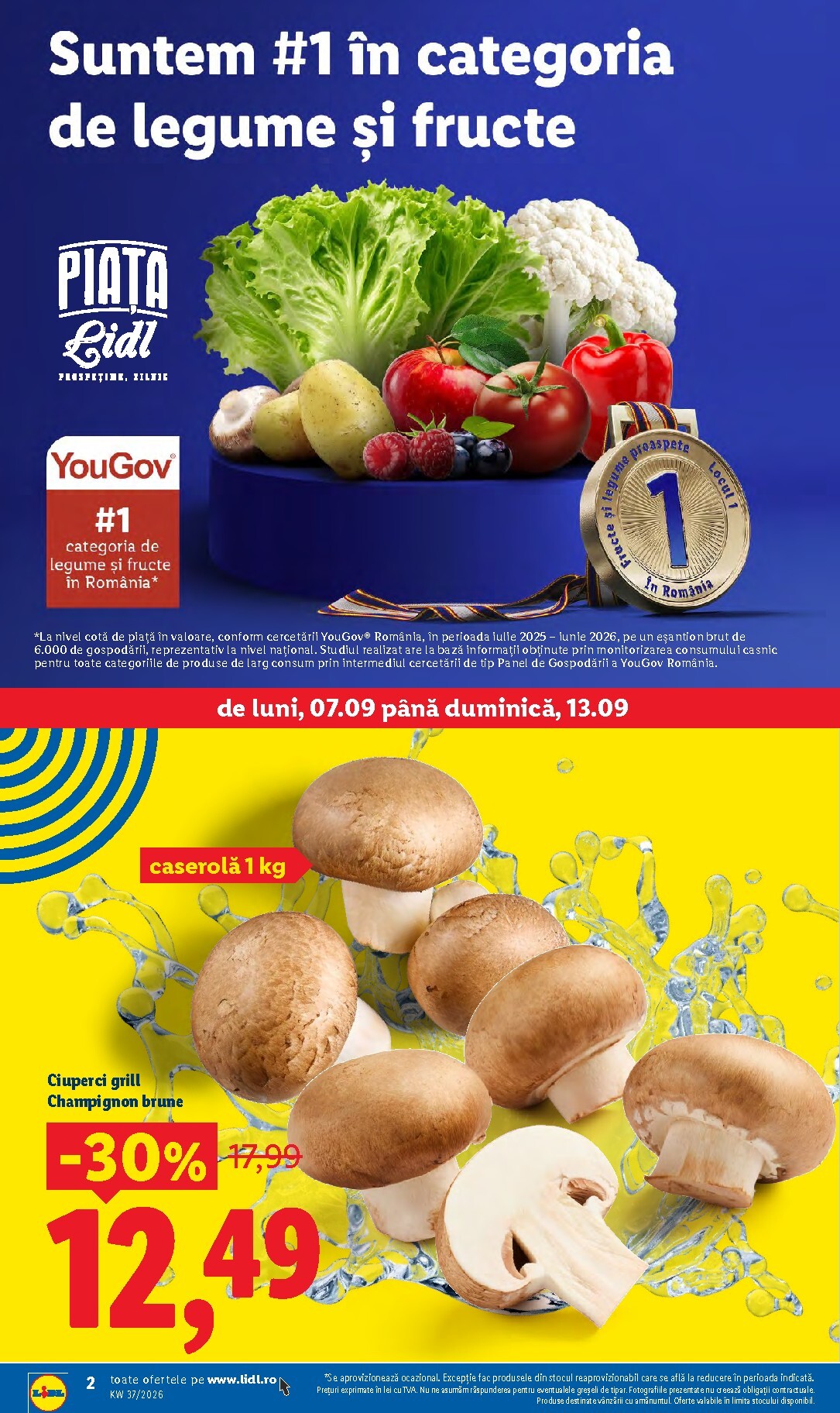 lidl - Lidl pliante pentru săptămâna viitoare de la luni 07.09.2026 până la duminică 13.09.2026 - page: 2