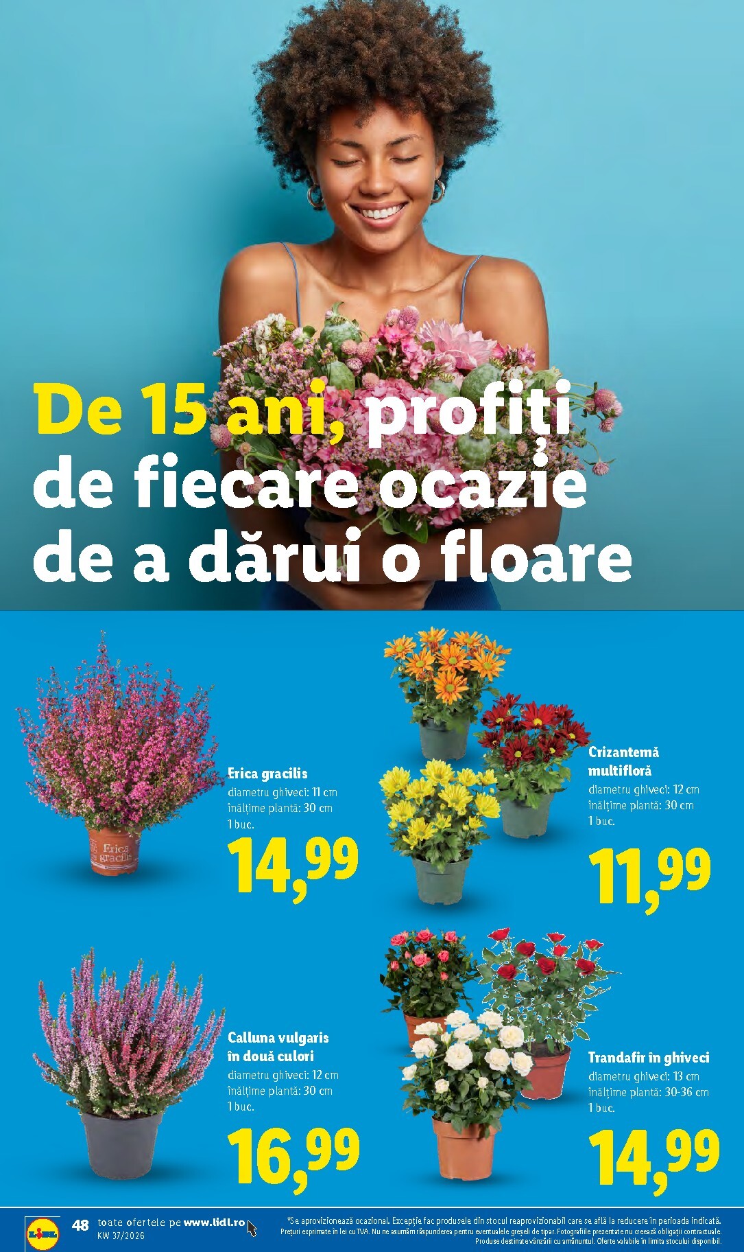 lidl - Lidl pliante pentru săptămâna viitoare de la luni 07.09.2026 până la duminică 13.09.2026 - page: 48