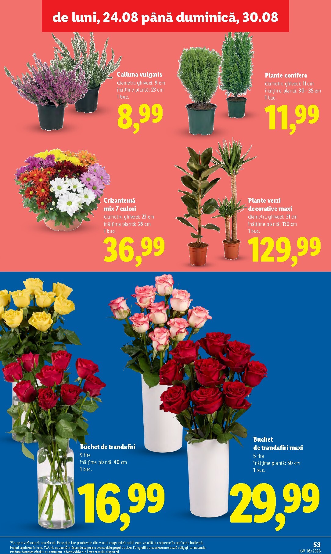 lidl - Lidl pliante pentru săptămâna viitoare de la luni 14.09.2026 până la duminică 20.09.2026 - page: 53