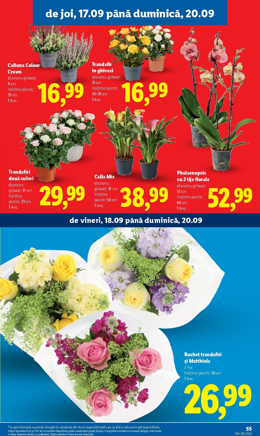 lidl - Lidl pliante pentru săptămâna viitoare de la luni 14.09.2026 până la duminică 20.09.2026 - page: 55
