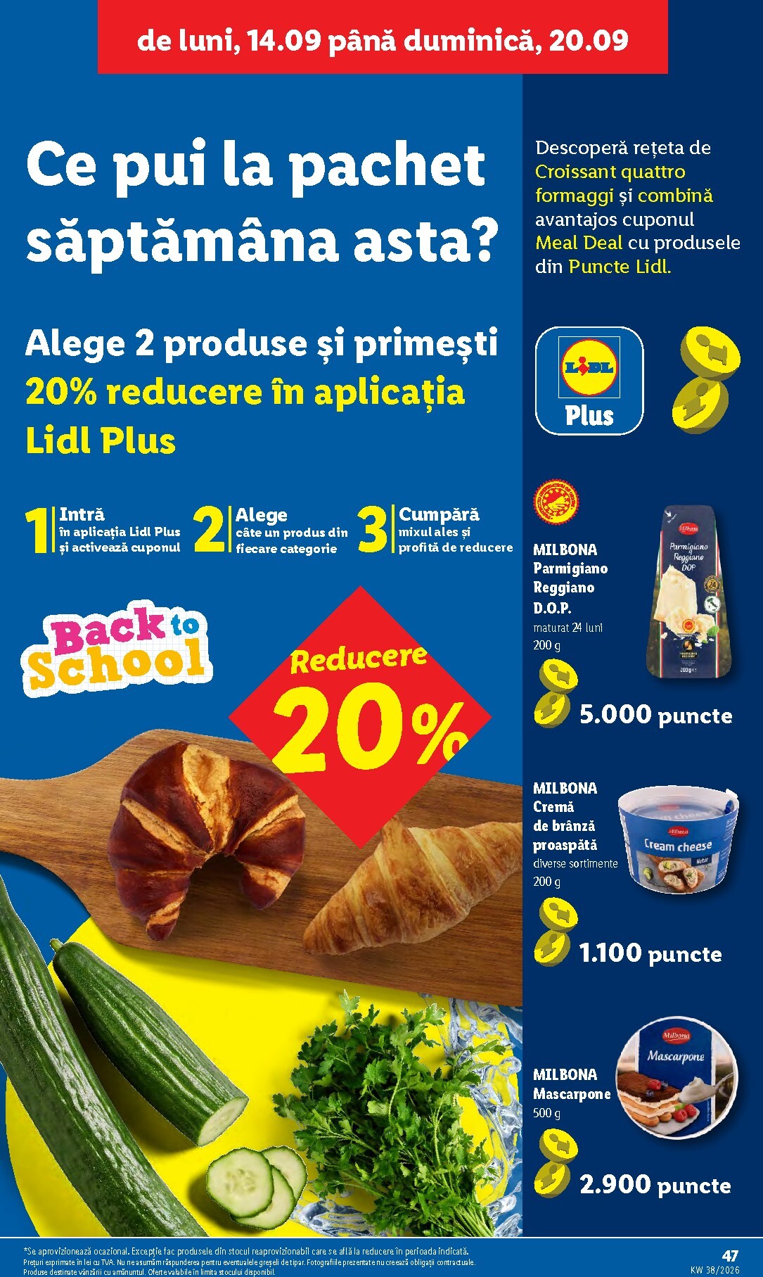 lidl - Lidl pliante pentru săptămâna viitoare de la luni 14.09.2026 până la duminică 20.09.2026 - page: 47