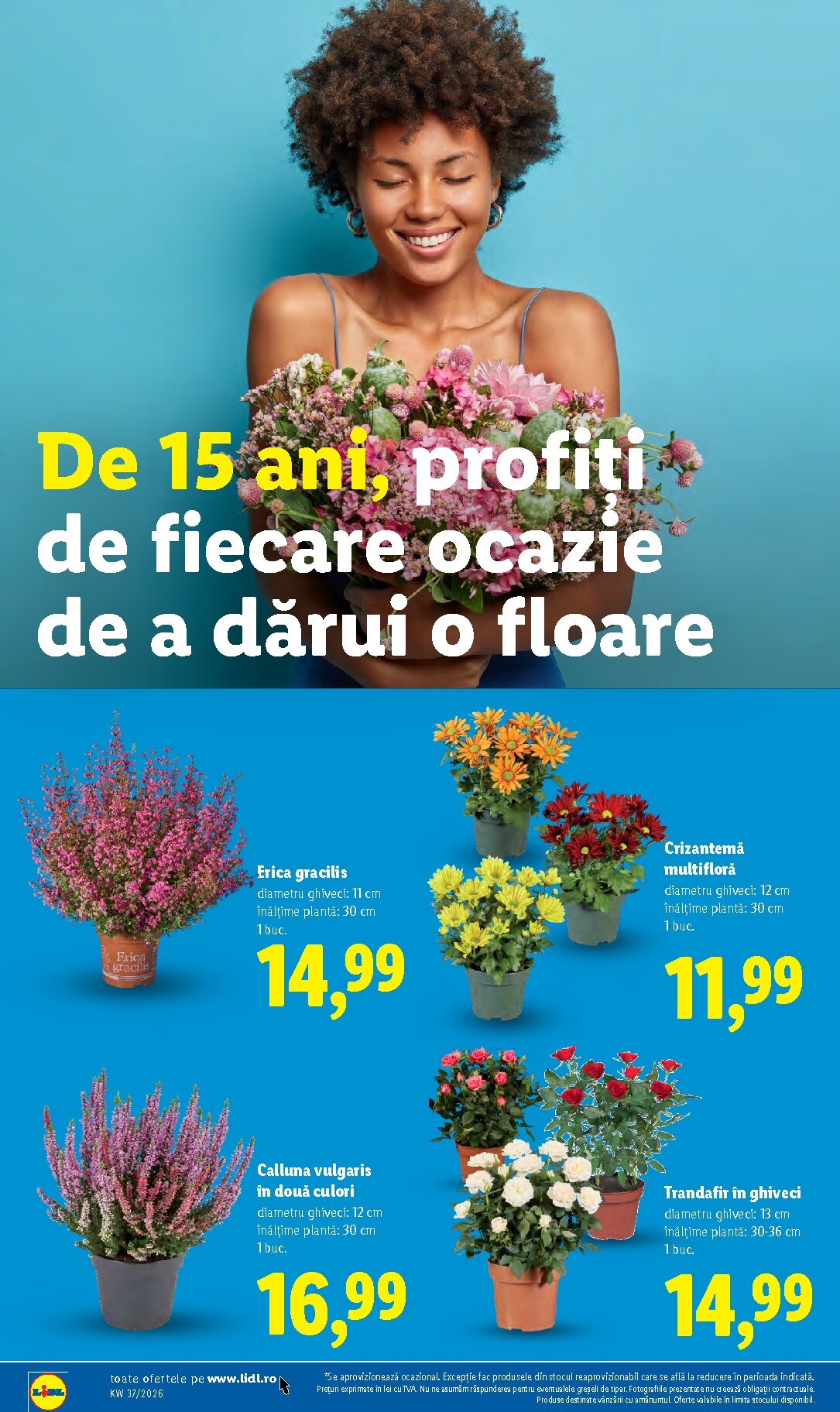 lidl - Brosura Lidl valabilă de la luni 07.09.2026 până la duminică 13.09.2026 - page: 50