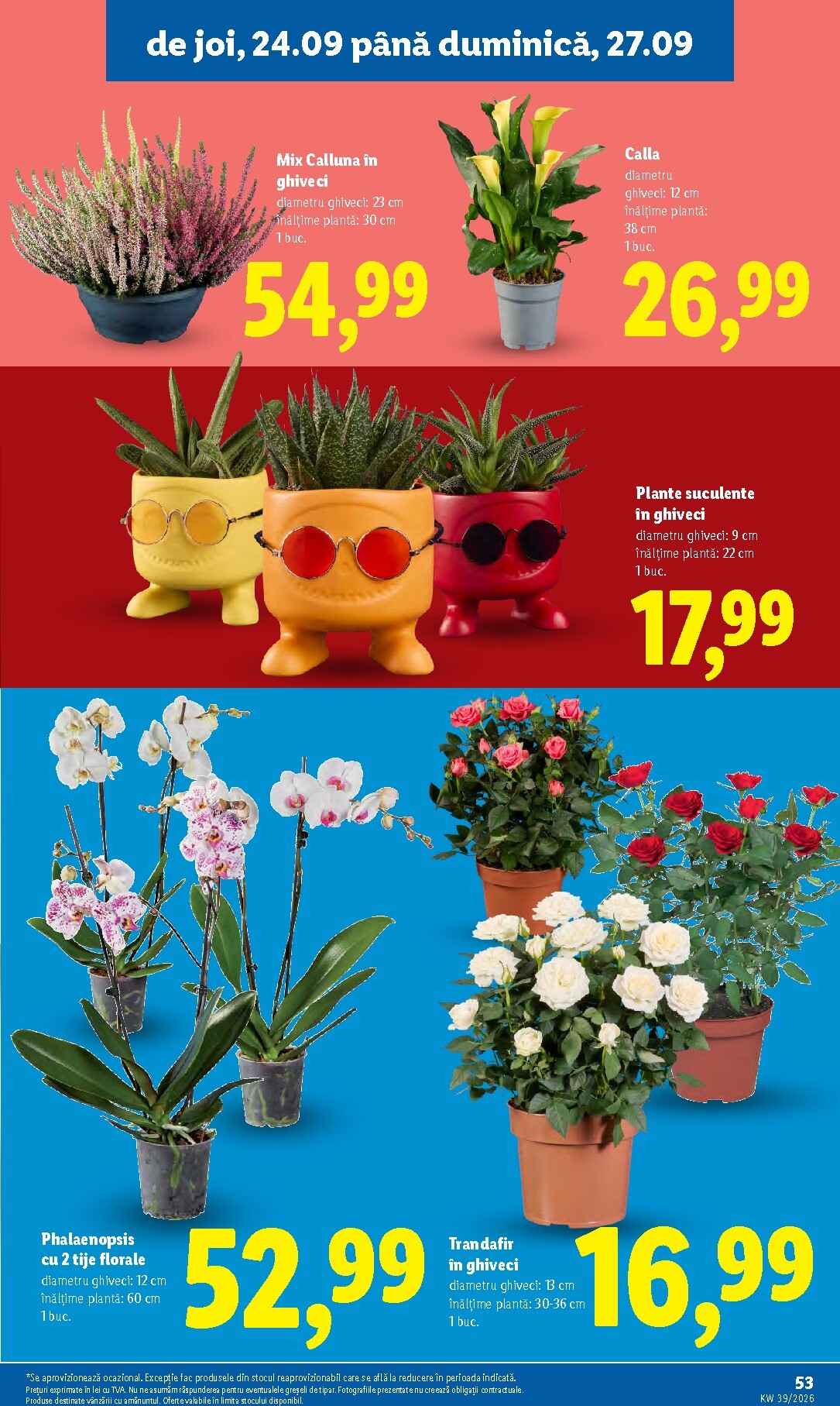 lidl - Lidl pliante pentru săptămâna viitoare de la luni 21.09.2026 până la duminică 27.09.2026 - page: 53