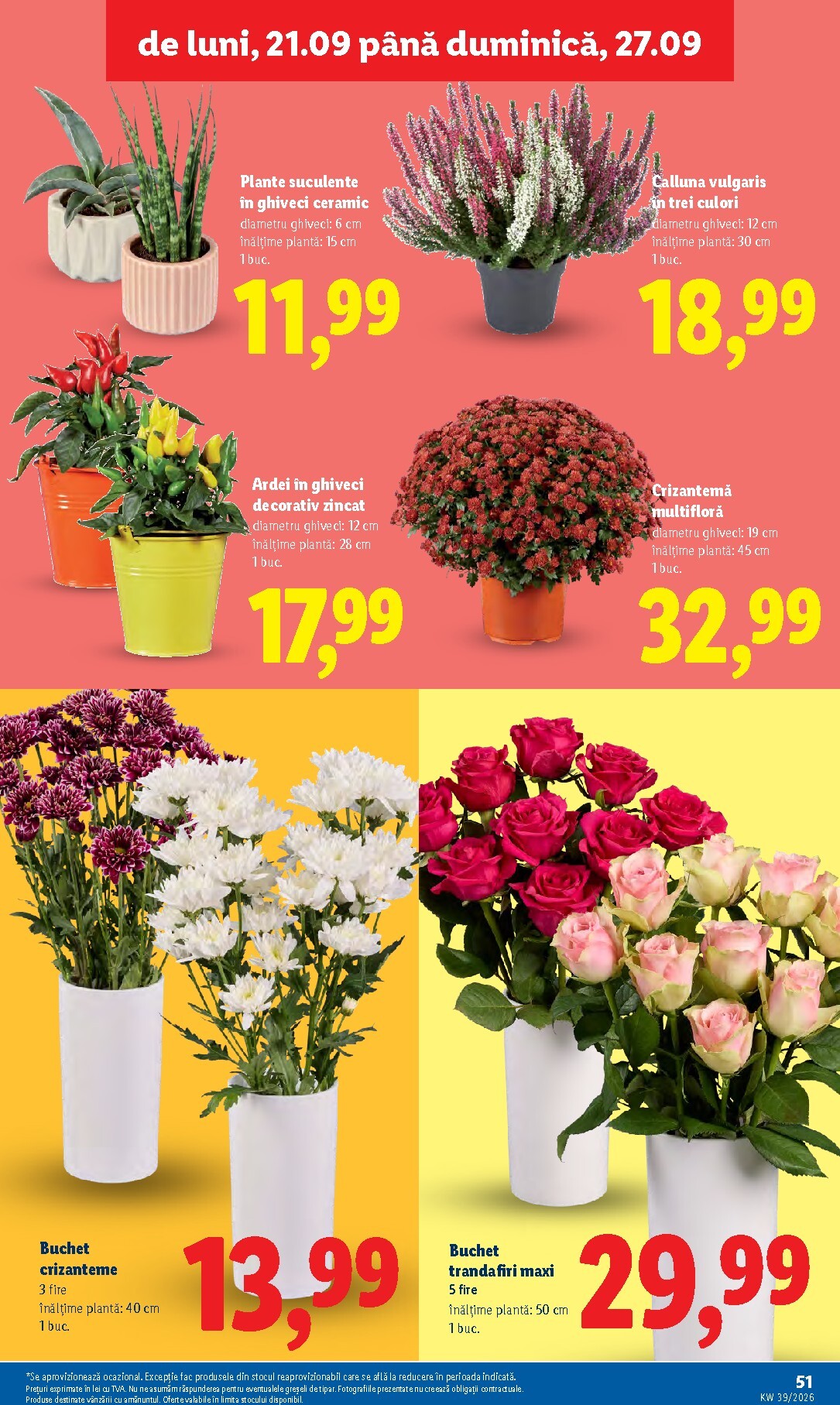 lidl - Lidl pliante pentru săptămâna viitoare de la luni 21.09.2026 până la duminică 27.09.2026 - page: 51