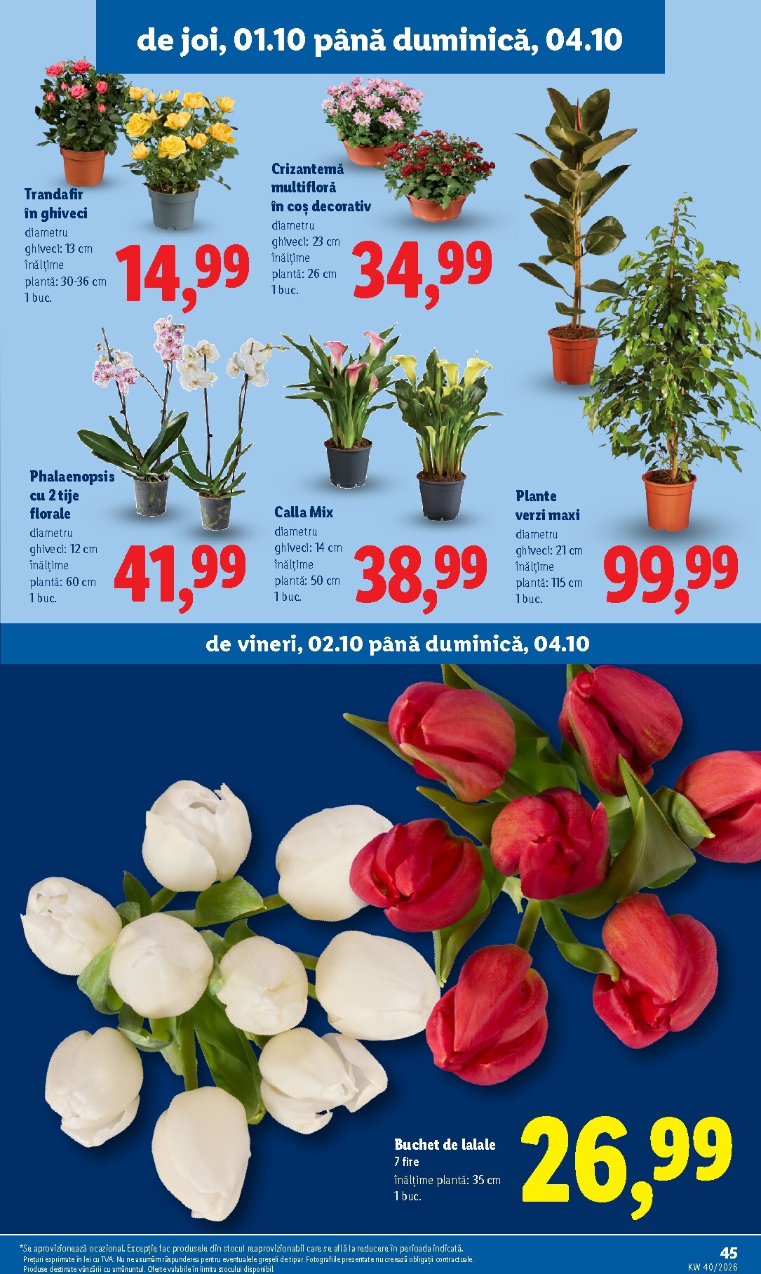 lidl - Lidl pliante pentru săptămâna viitoare de la luni 28.09.2026 până la duminică 04.10.2026 - page: 45
