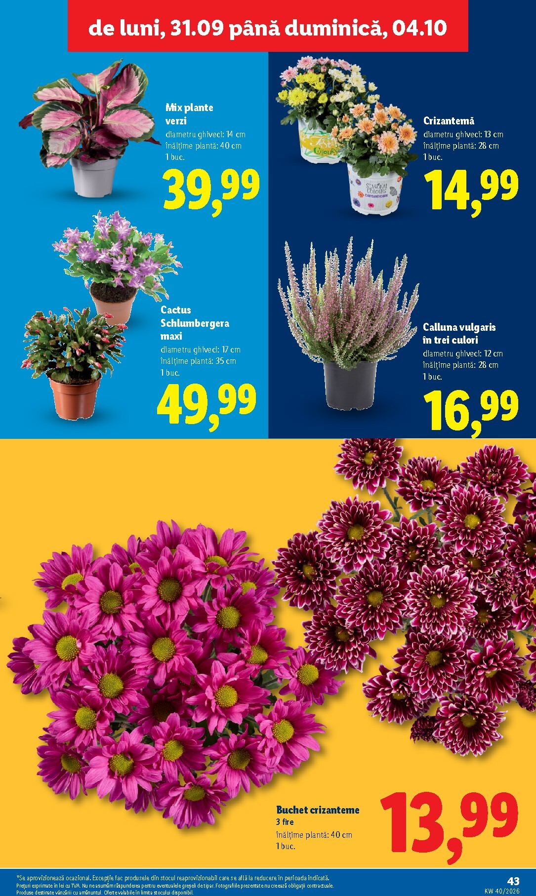 lidl - Lidl pliante pentru săptămâna viitoare de la luni 28.09.2026 până la duminică 04.10.2026 - page: 43