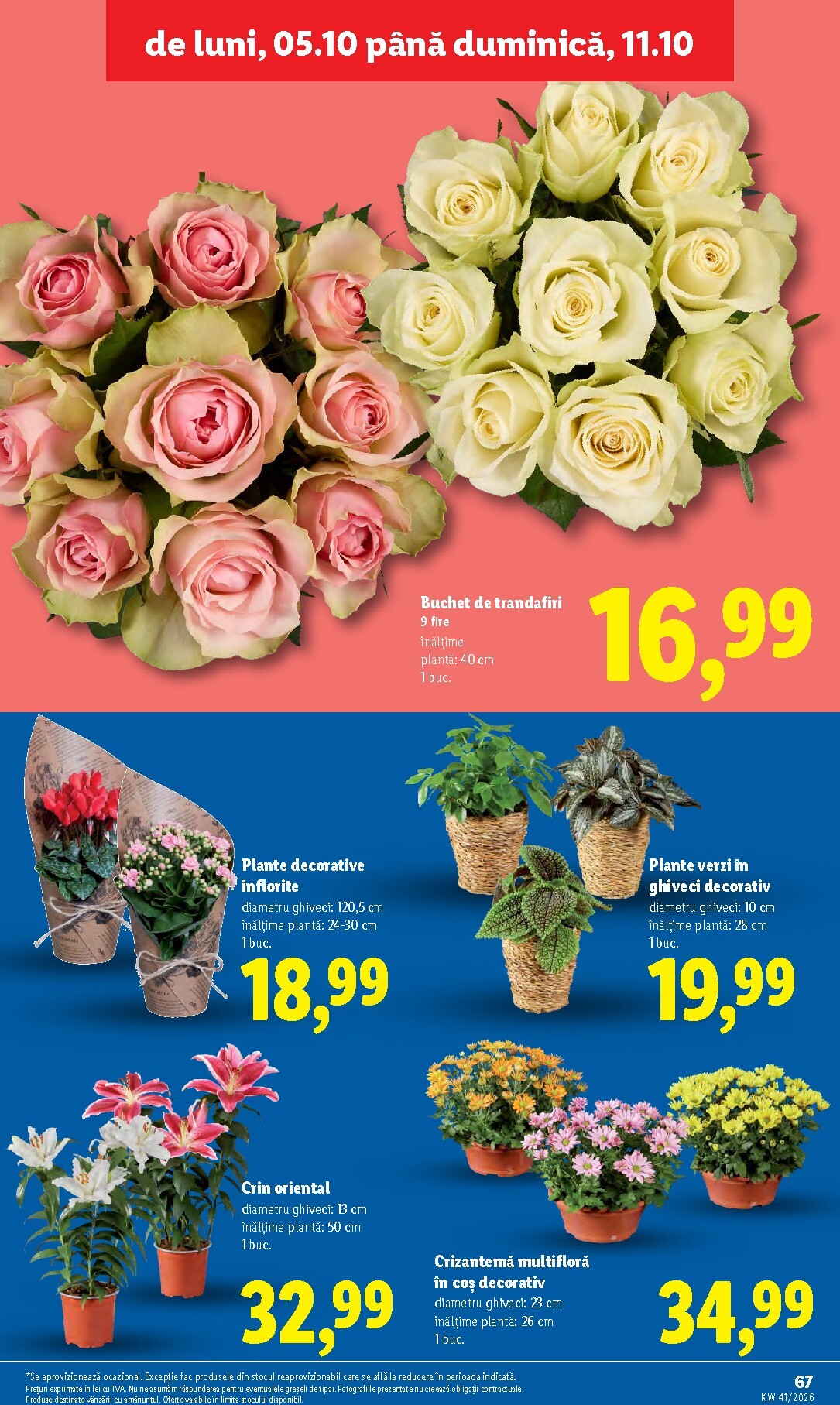 lidl - Lidl pliante pentru săptămâna viitoare de la luni 05.10.2026 până la duminică 11.10.2026 - page: 67