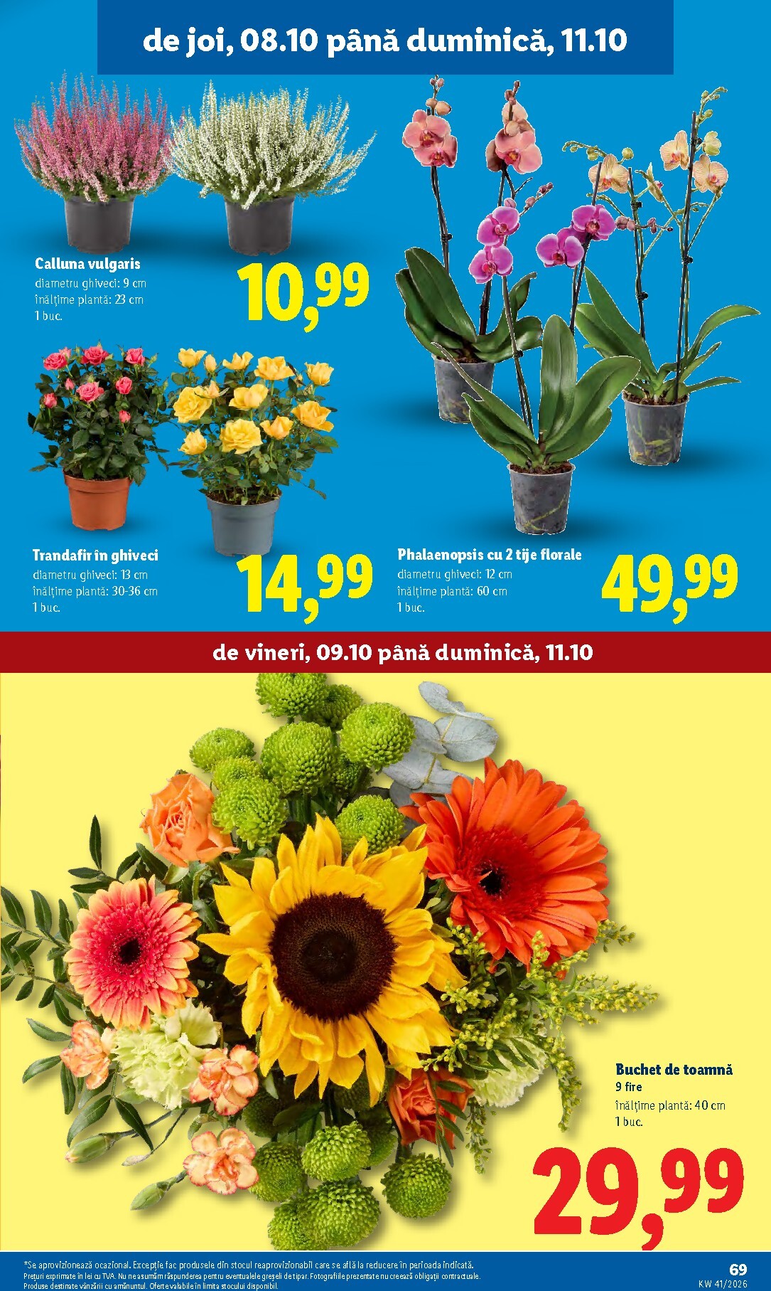 lidl - Lidl pliante pentru săptămâna viitoare de la luni 05.10.2026 până la duminică 11.10.2026 - page: 69