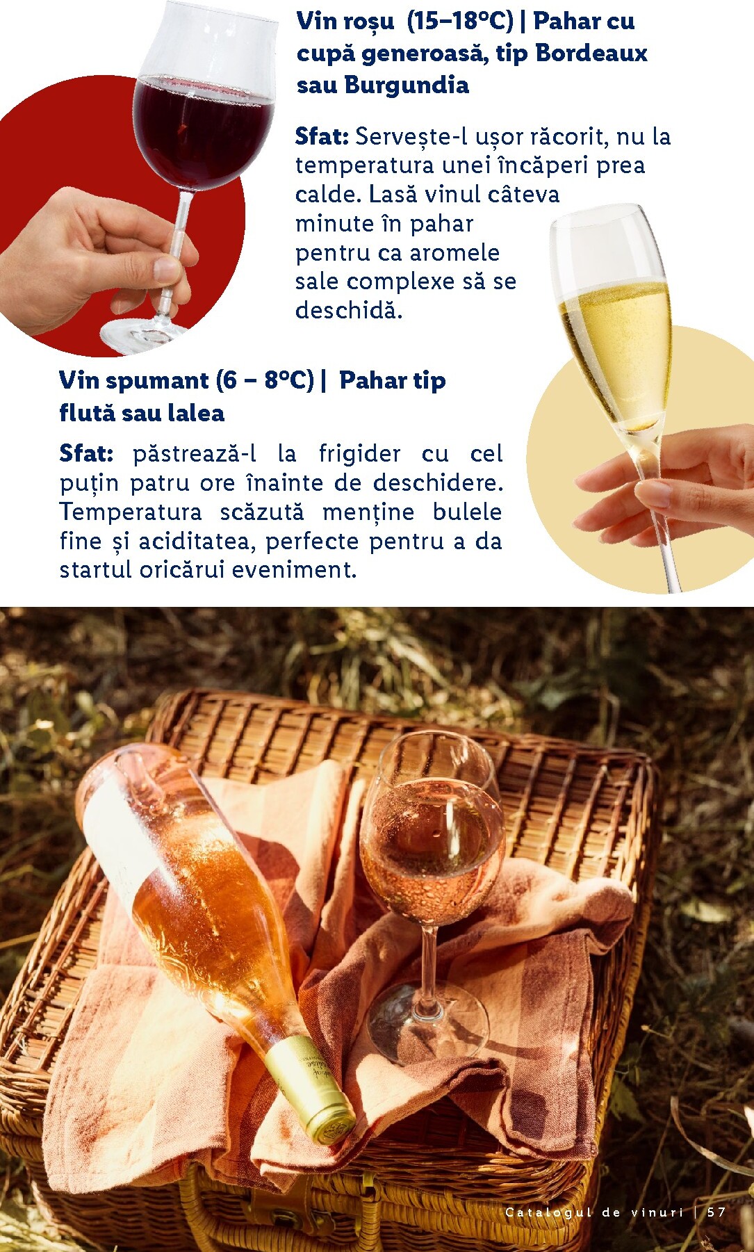 lidl - Brosura Lidl - De vinuri valabilă de la luni 28.09.2026 până la sâmbătă 31.10.2026 - page: 57