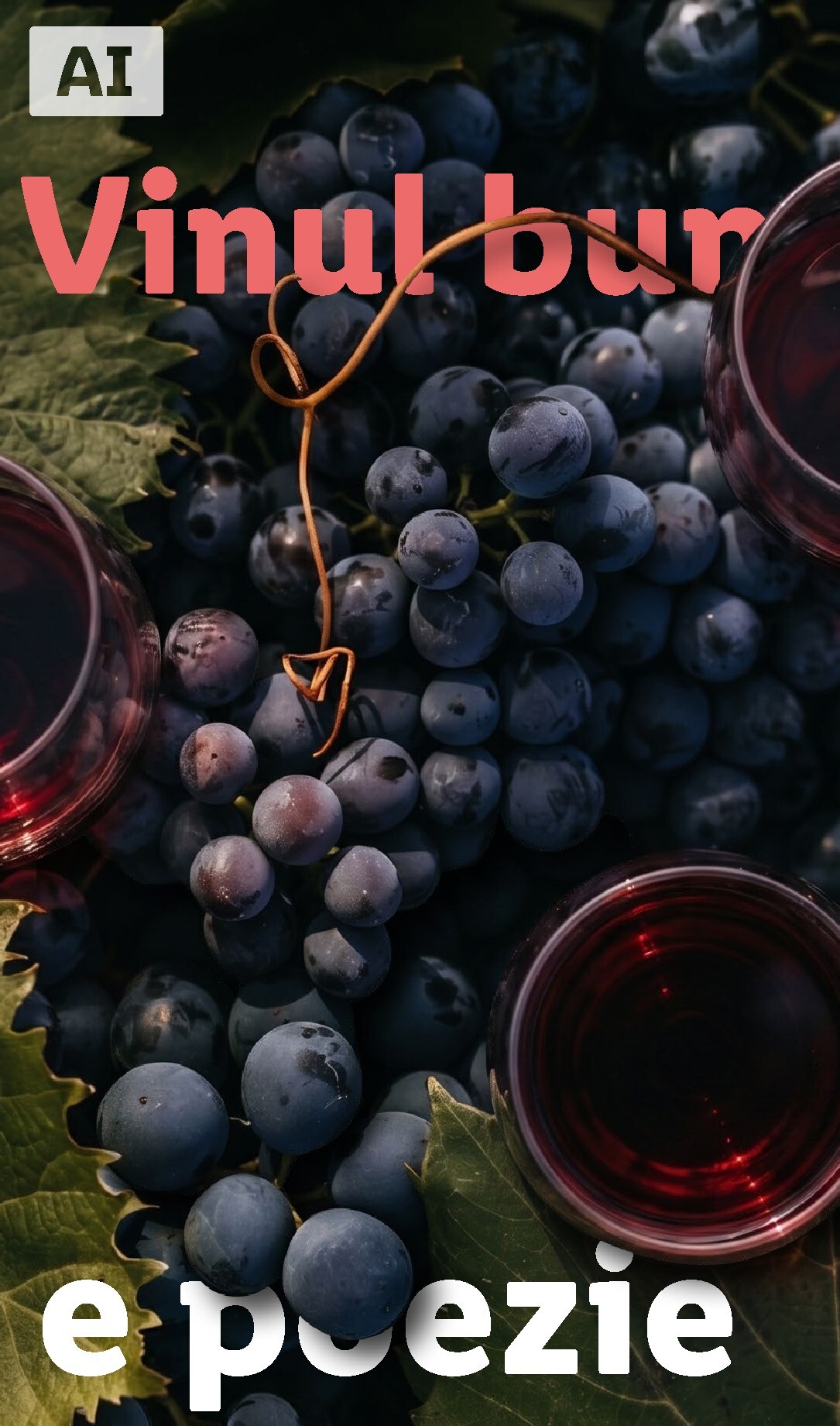 lidl - Brosura Lidl - De vinuri valabilă de la luni 28.09.2026 până la sâmbătă 31.10.2026 - page: 34