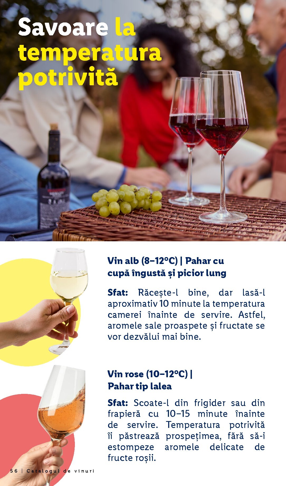 lidl - Brosura Lidl - De vinuri valabilă de la luni 28.09.2026 până la sâmbătă 31.10.2026 - page: 56