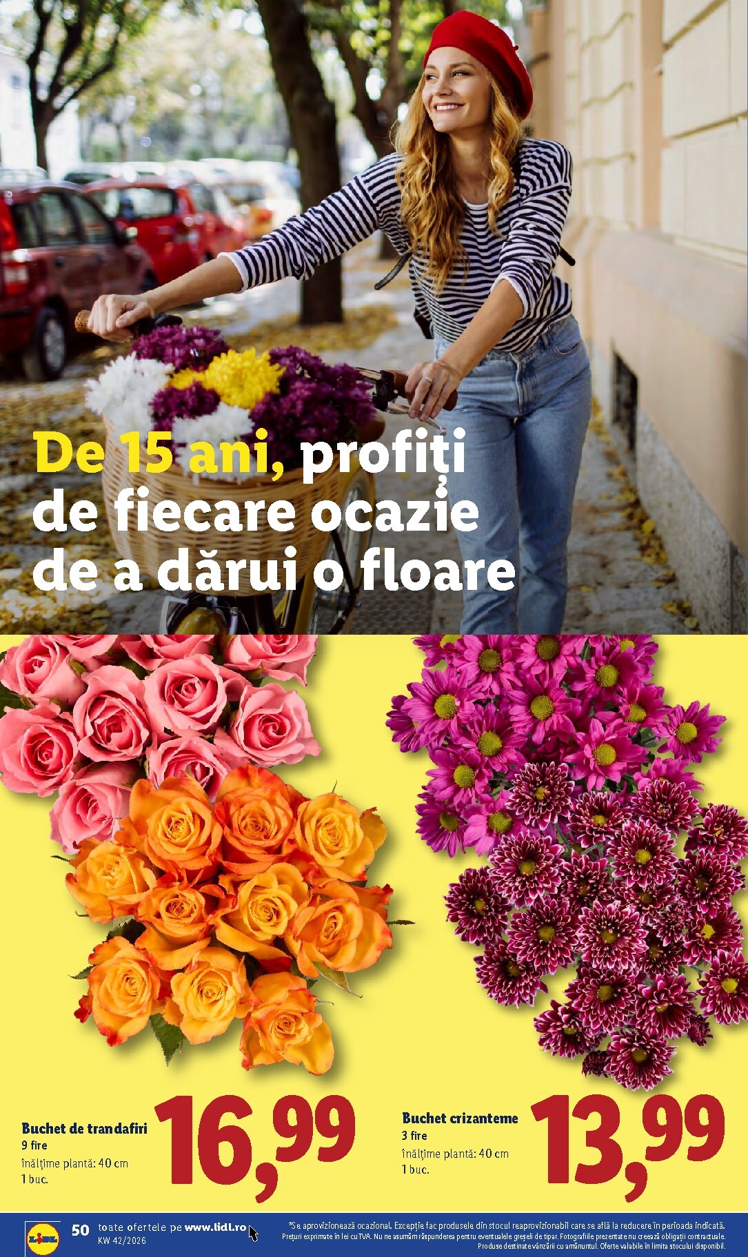 lidl - Lidl pliante pentru săptămâna viitoare de la luni 12.10.2026 până la duminică 18.10.2026 - page: 50