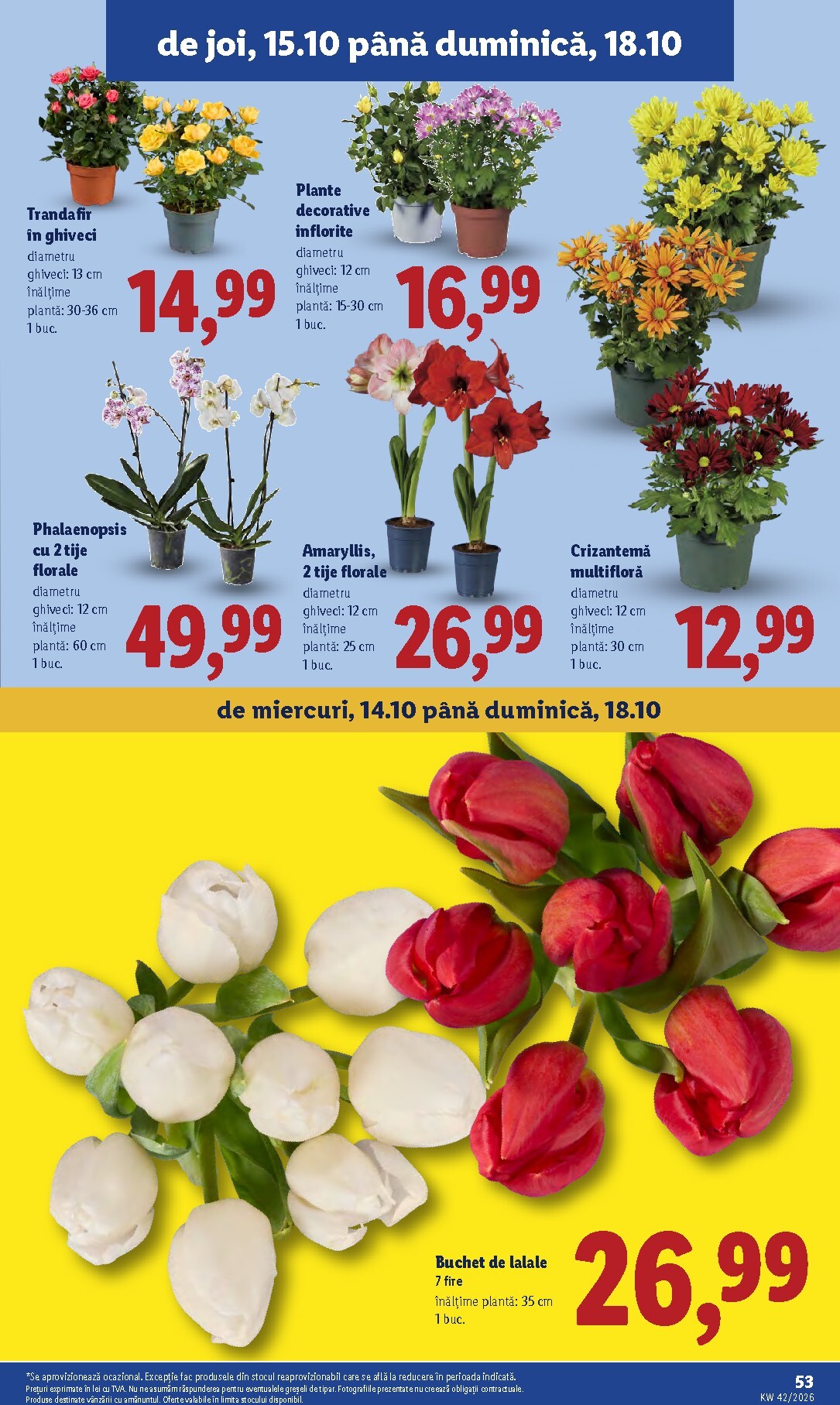 lidl - Lidl pliante pentru săptămâna viitoare de la luni 12.10.2026 până la duminică 18.10.2026 - page: 53