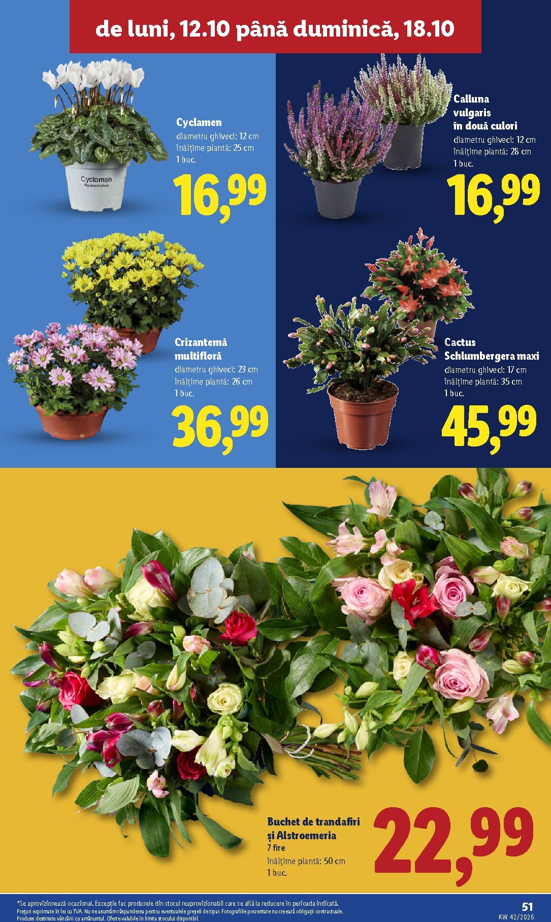 lidl - Lidl pliante pentru săptămâna viitoare de la luni 12.10.2026 până la duminică 18.10.2026 - page: 51