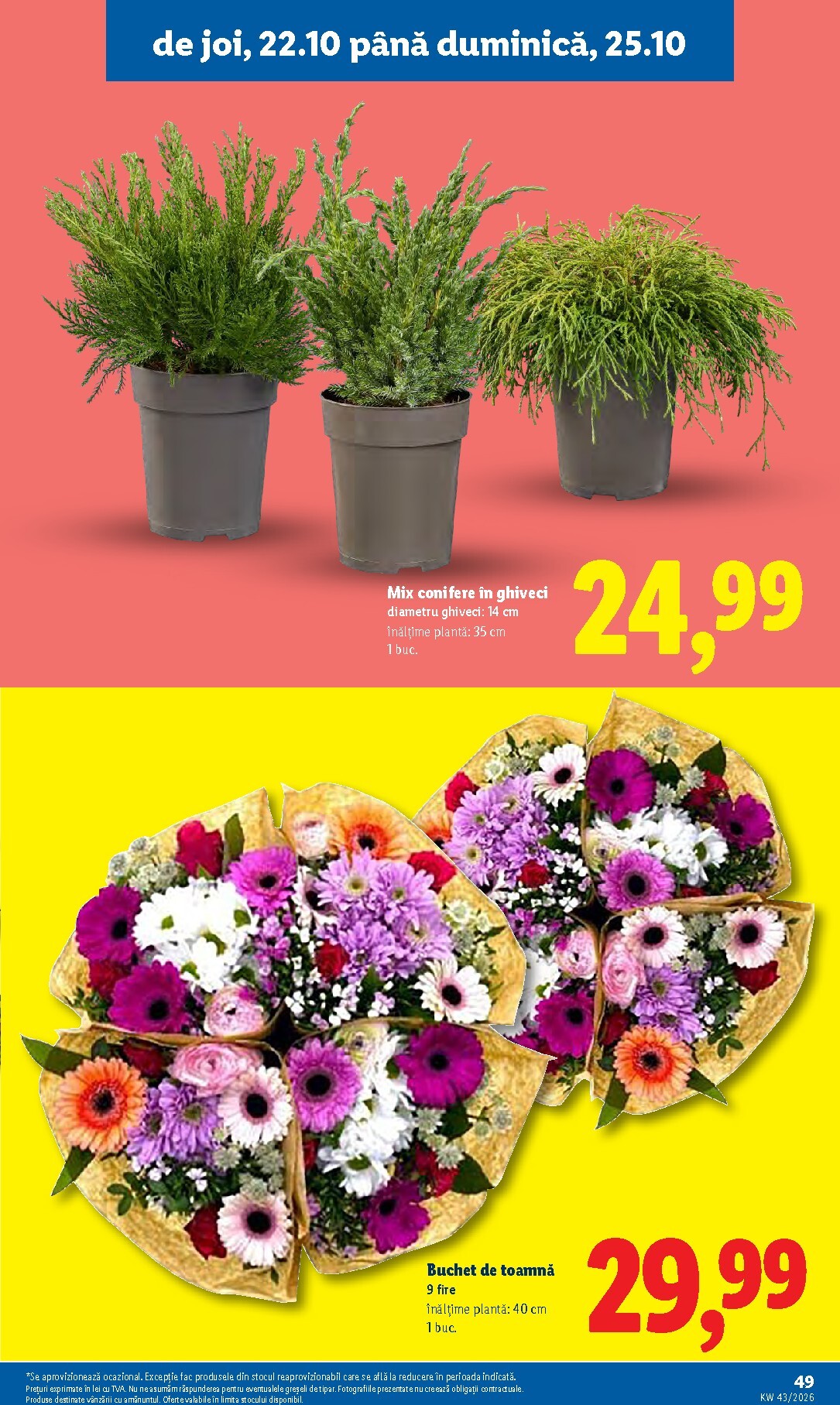 lidl - Lidl pliante pentru săptămâna viitoare de la luni 19.10.2026 până la duminică 25.10.2026 - page: 49