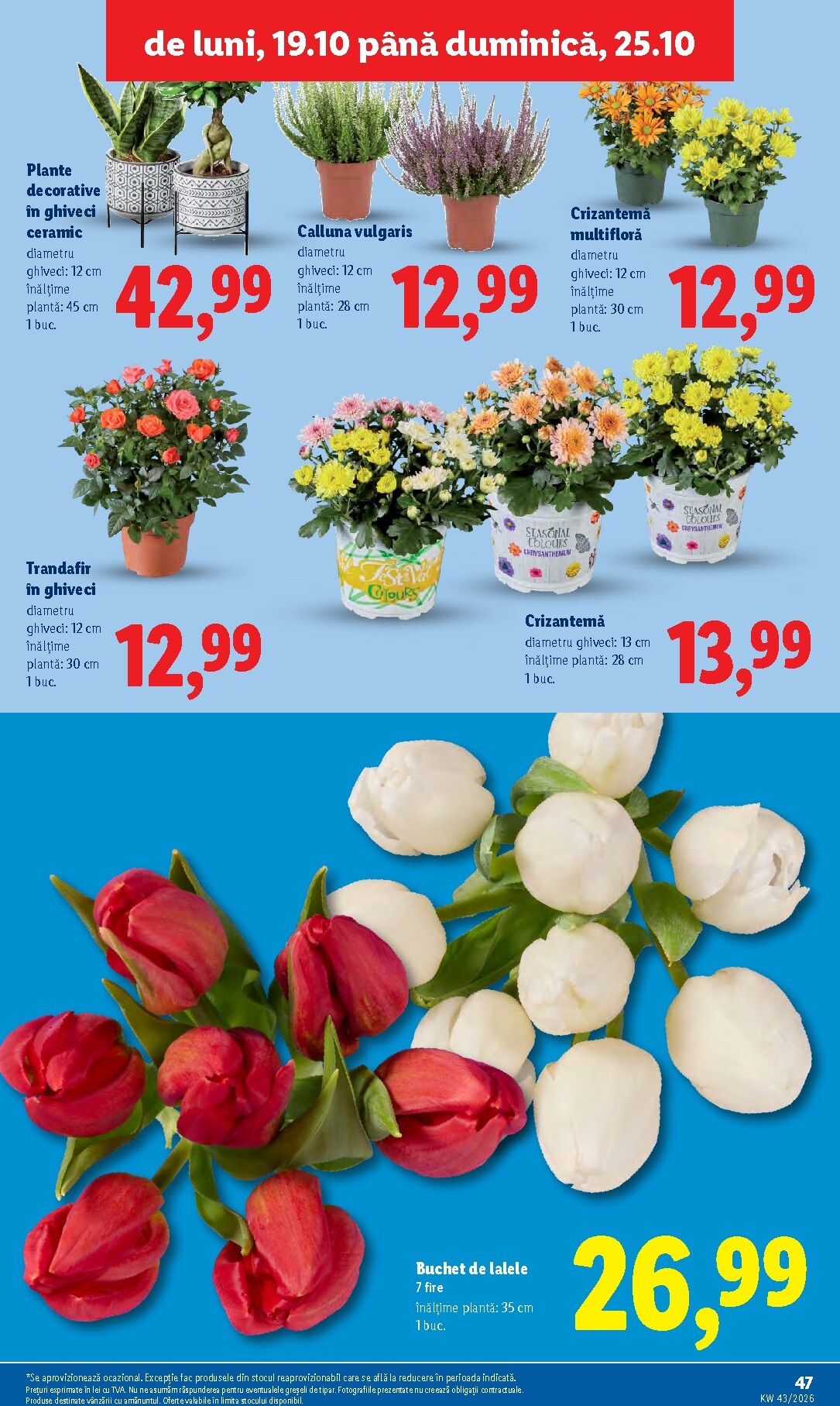lidl - Lidl pliante pentru săptămâna viitoare de la luni 19.10.2026 până la duminică 25.10.2026 - page: 47