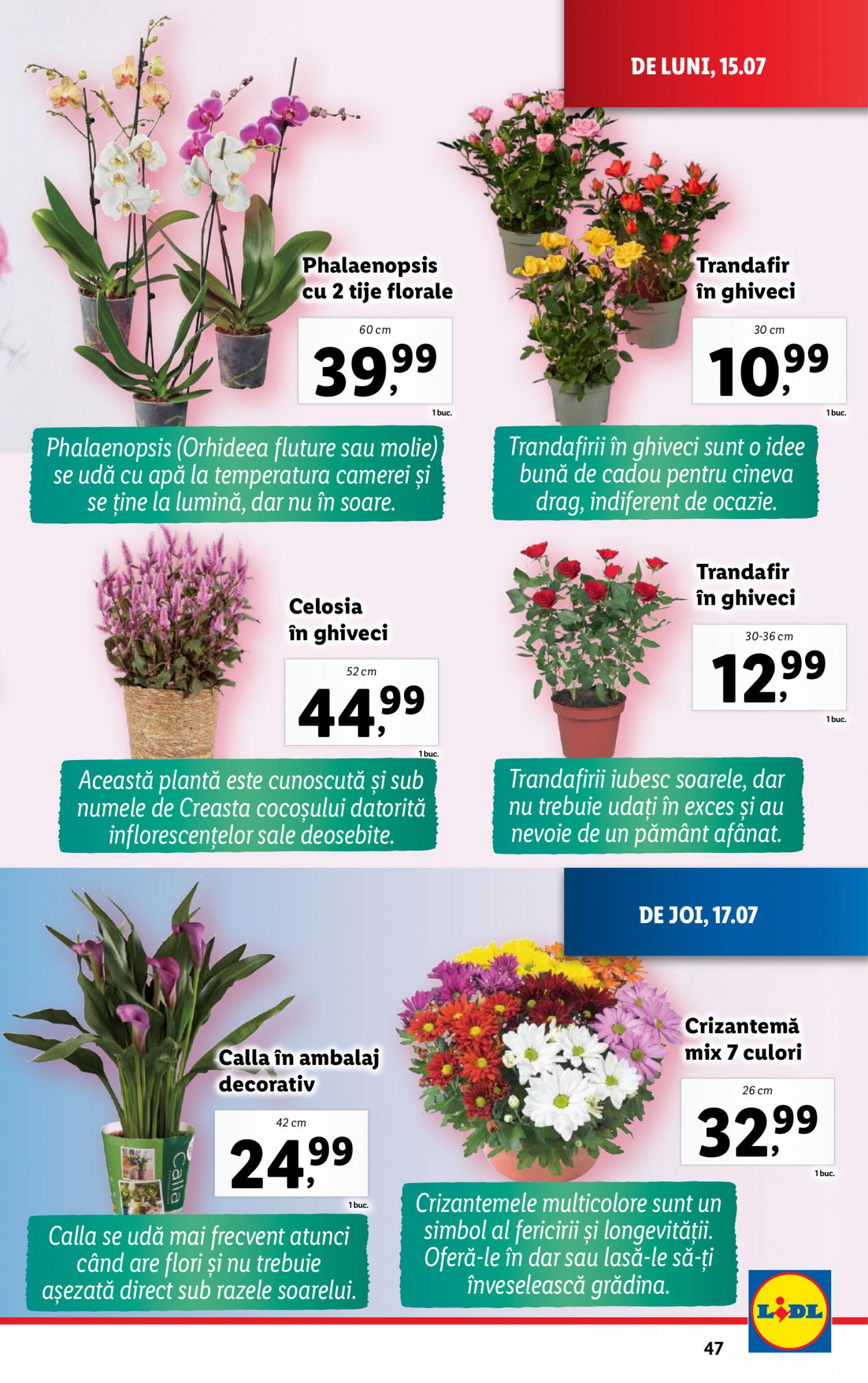 lidl - Catalog nou Lidl 15.07. - 21.07. - page: 47